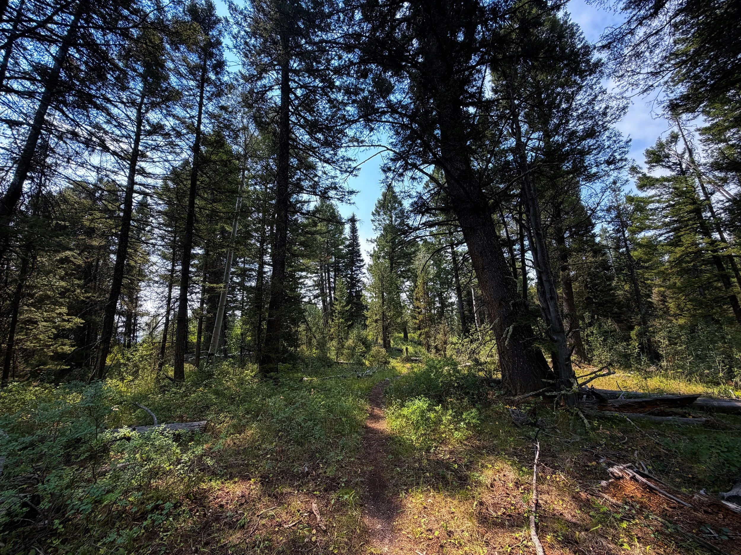 Boulder Ridge Trail Grand Teton National Park Wyoming
