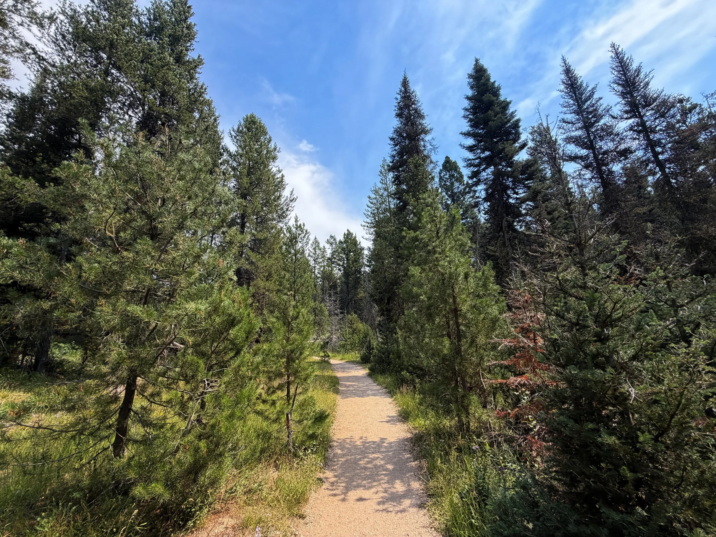 Phelps Lake Loop Hike Grand Teton National Park Wyoming