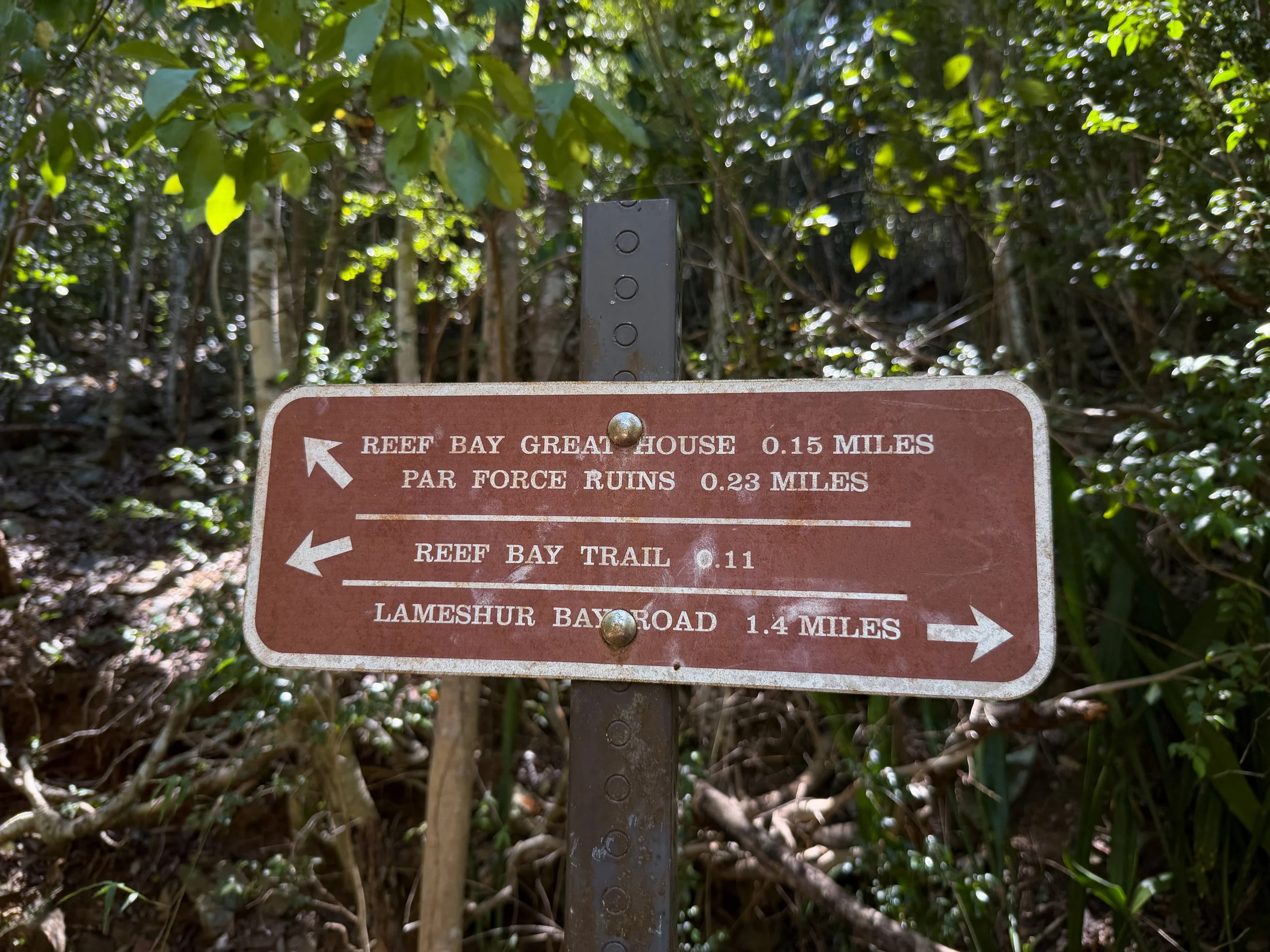 Lameshur Bay Trail to Reef Bay Great House Virgin Islands National Park