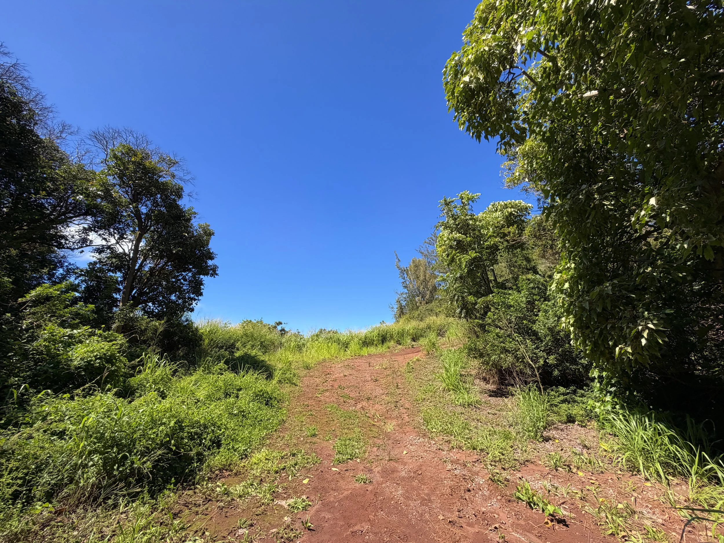 Kuaokala Trail Oahu Hawaii
