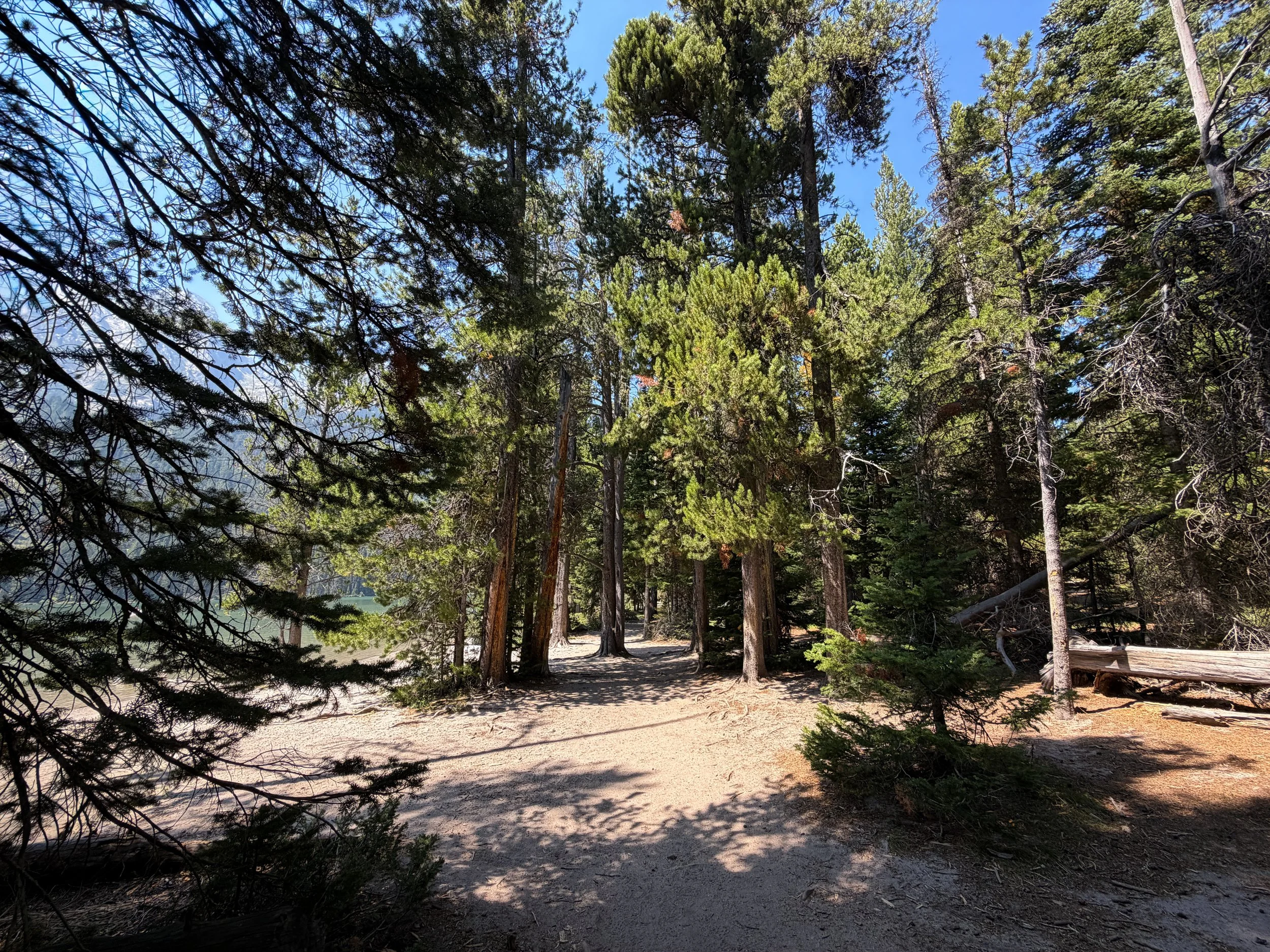 String Lake Loop Trail Grand Teton National Park Wyoming