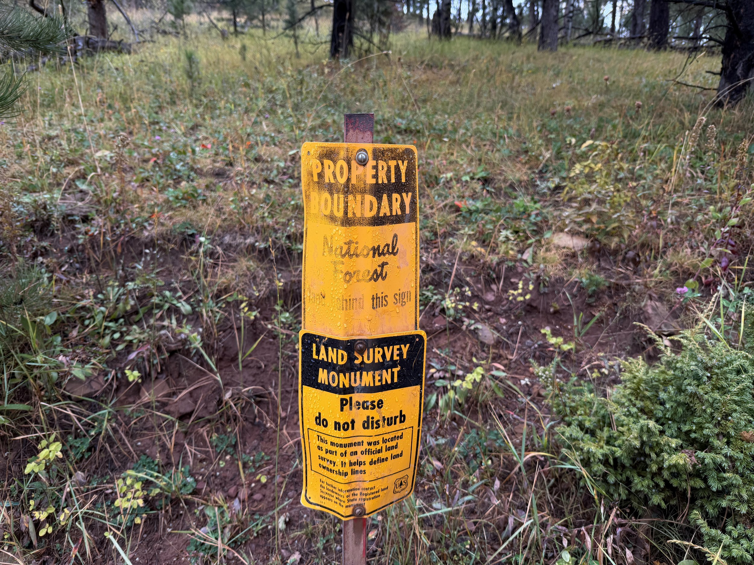 Custer Peak Trail Black Hills South Dakota