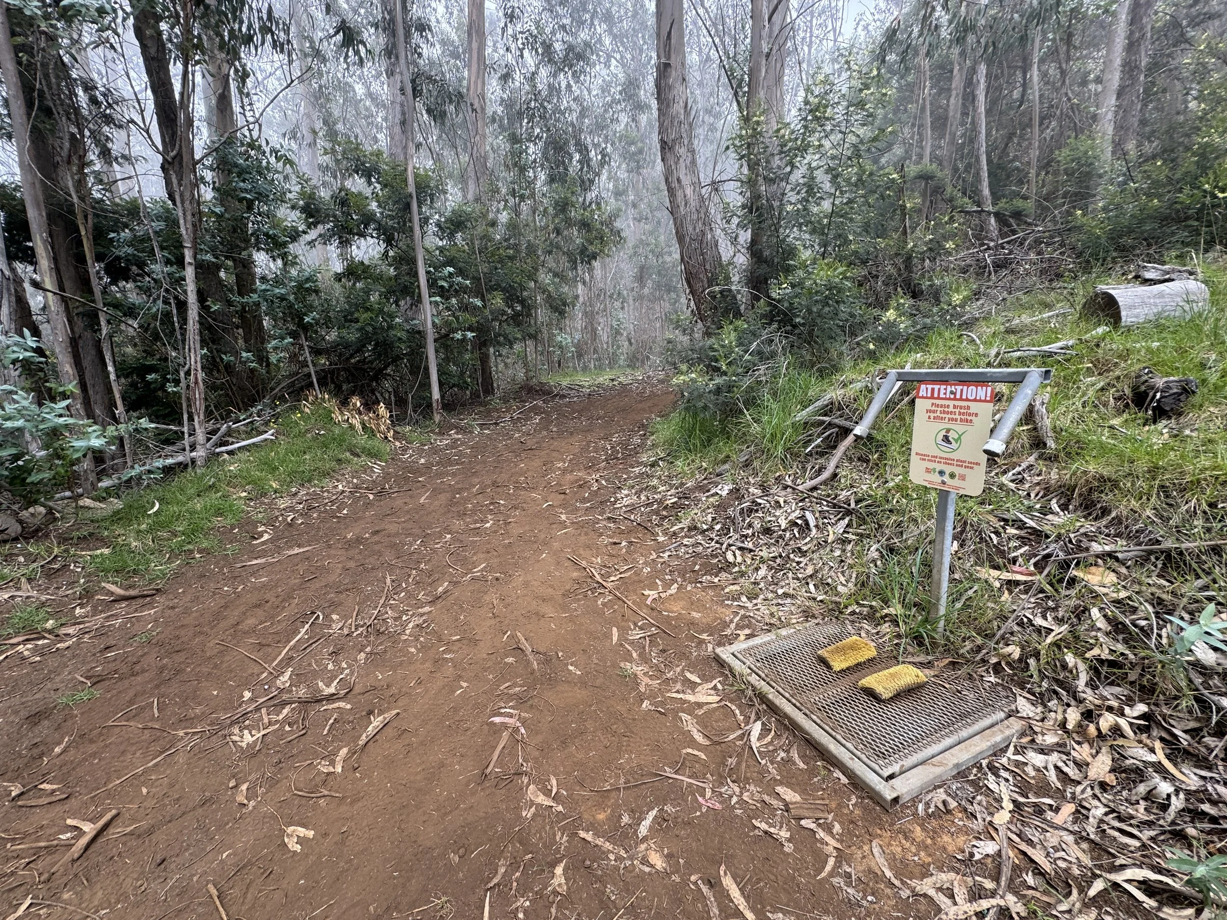 Hiking the Waiakoa Loop Trail on Maui, Hawaiʻi — noahawaii