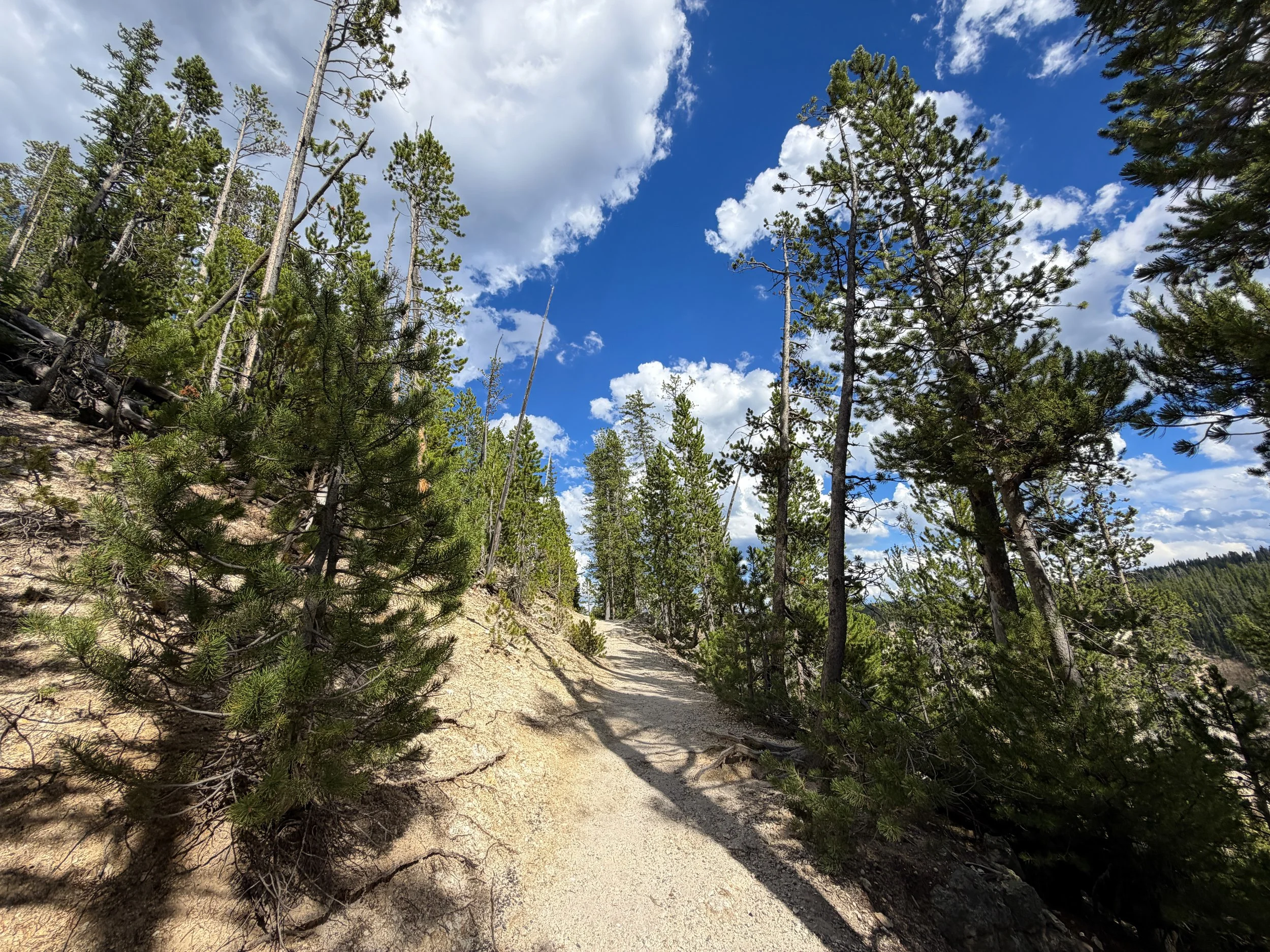 North Rim Trail Yellowstone National Park Wyoming