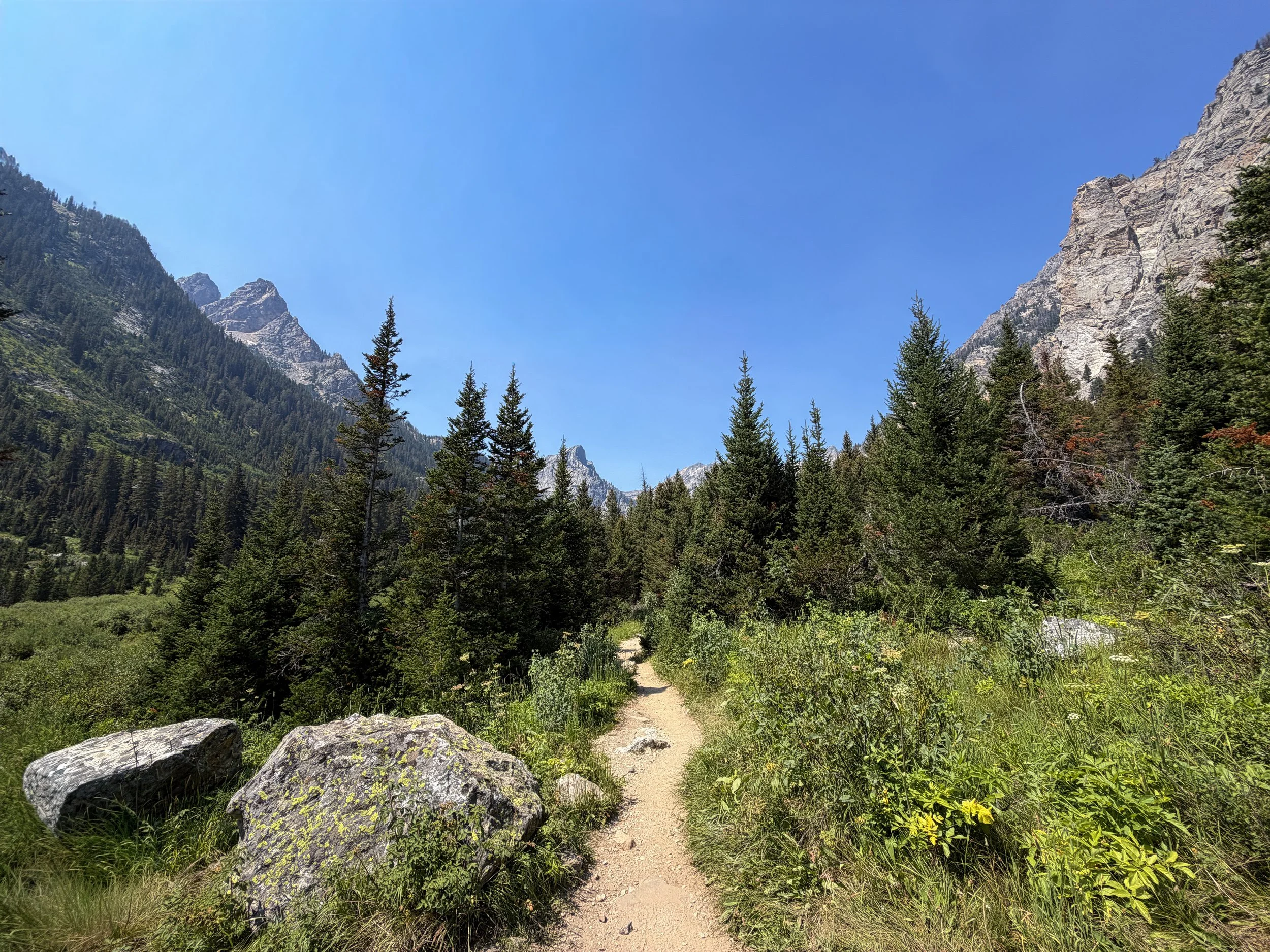 Cascade Canyon Hike Grand Teton National Park Wyoming
