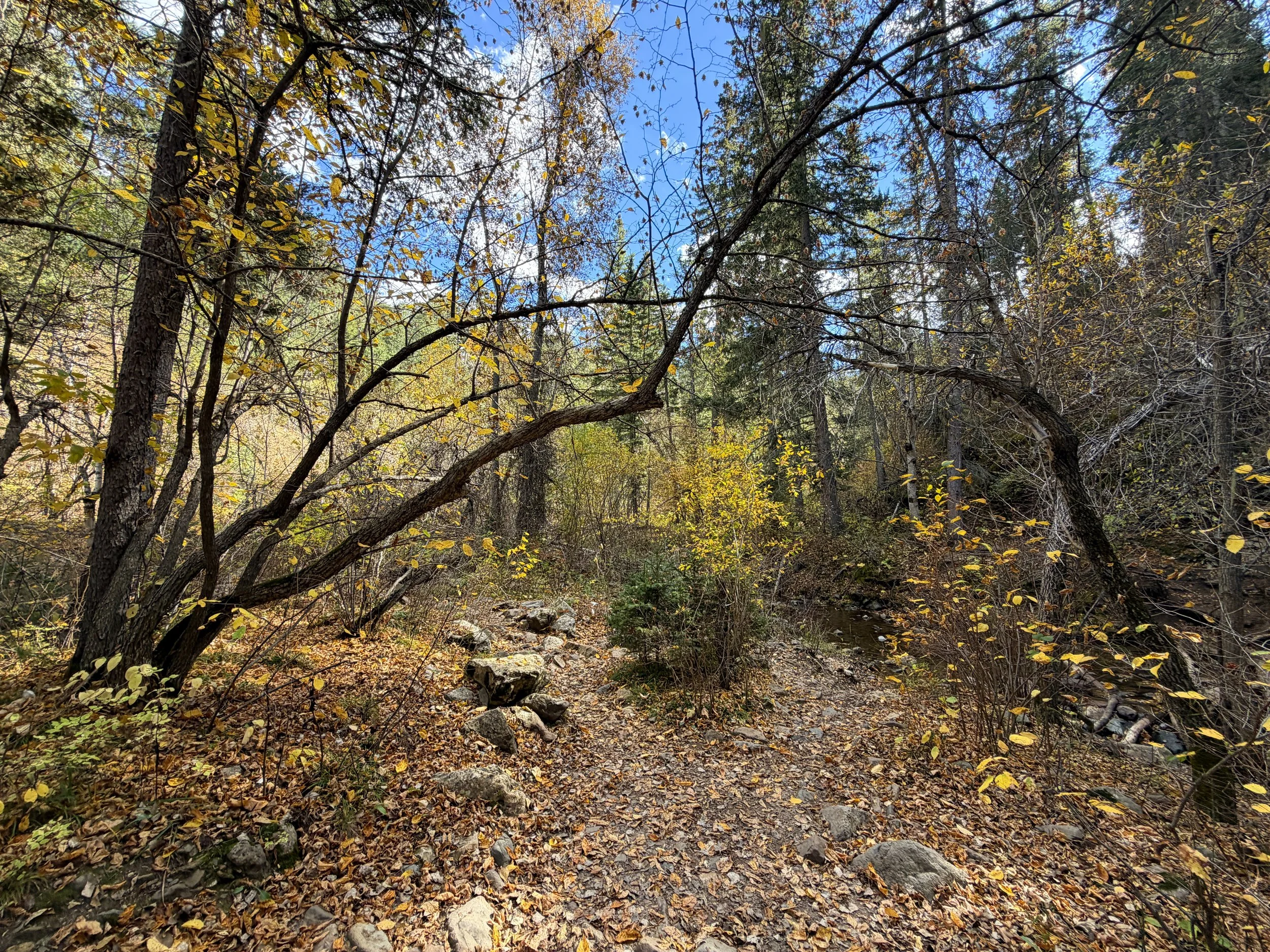 Devils Bathtub Hike Spearfish Canyon Black Hills South Dakota
