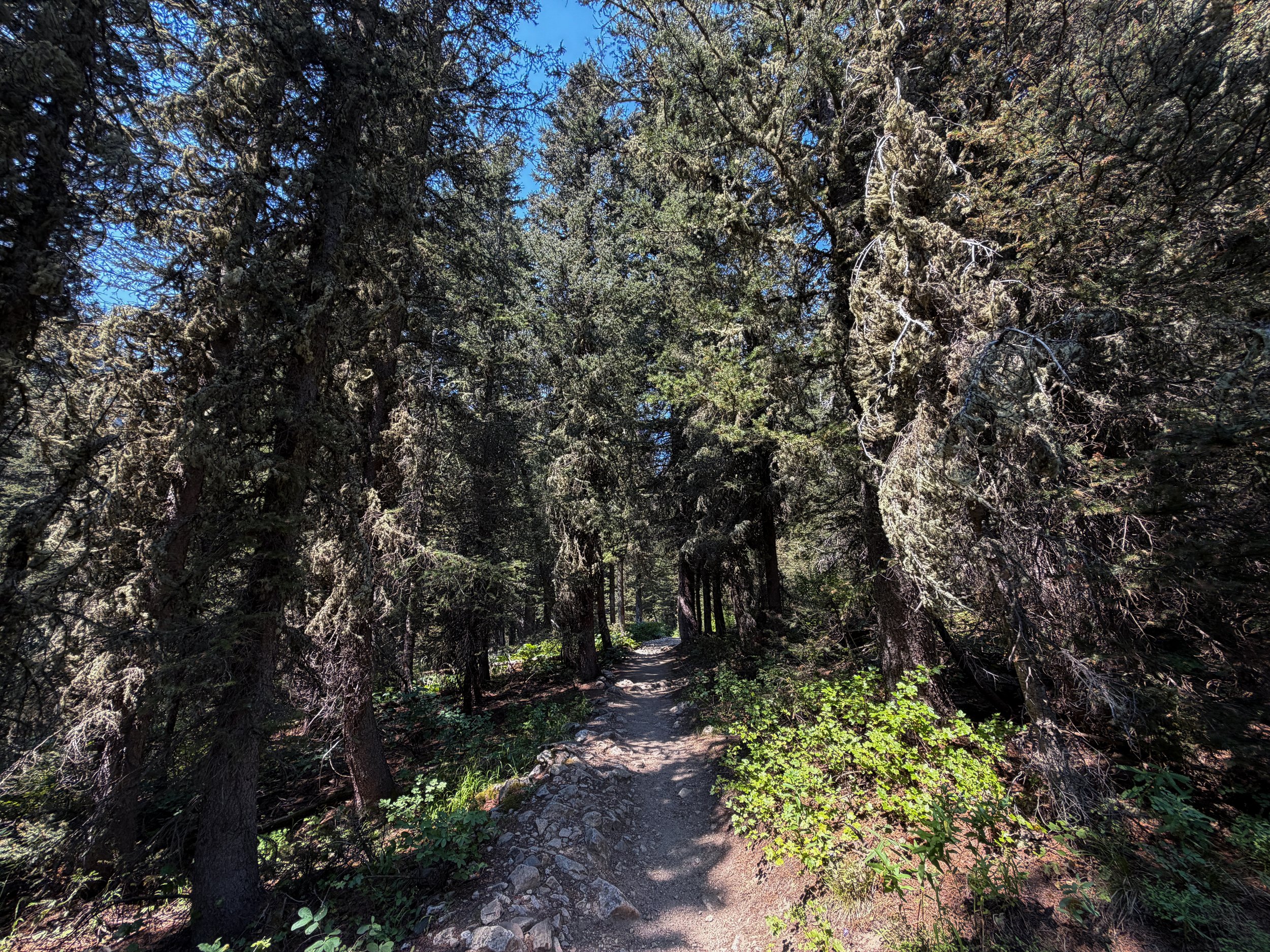 Cascade Canyon Trail Grand Teton National Park Wyoming