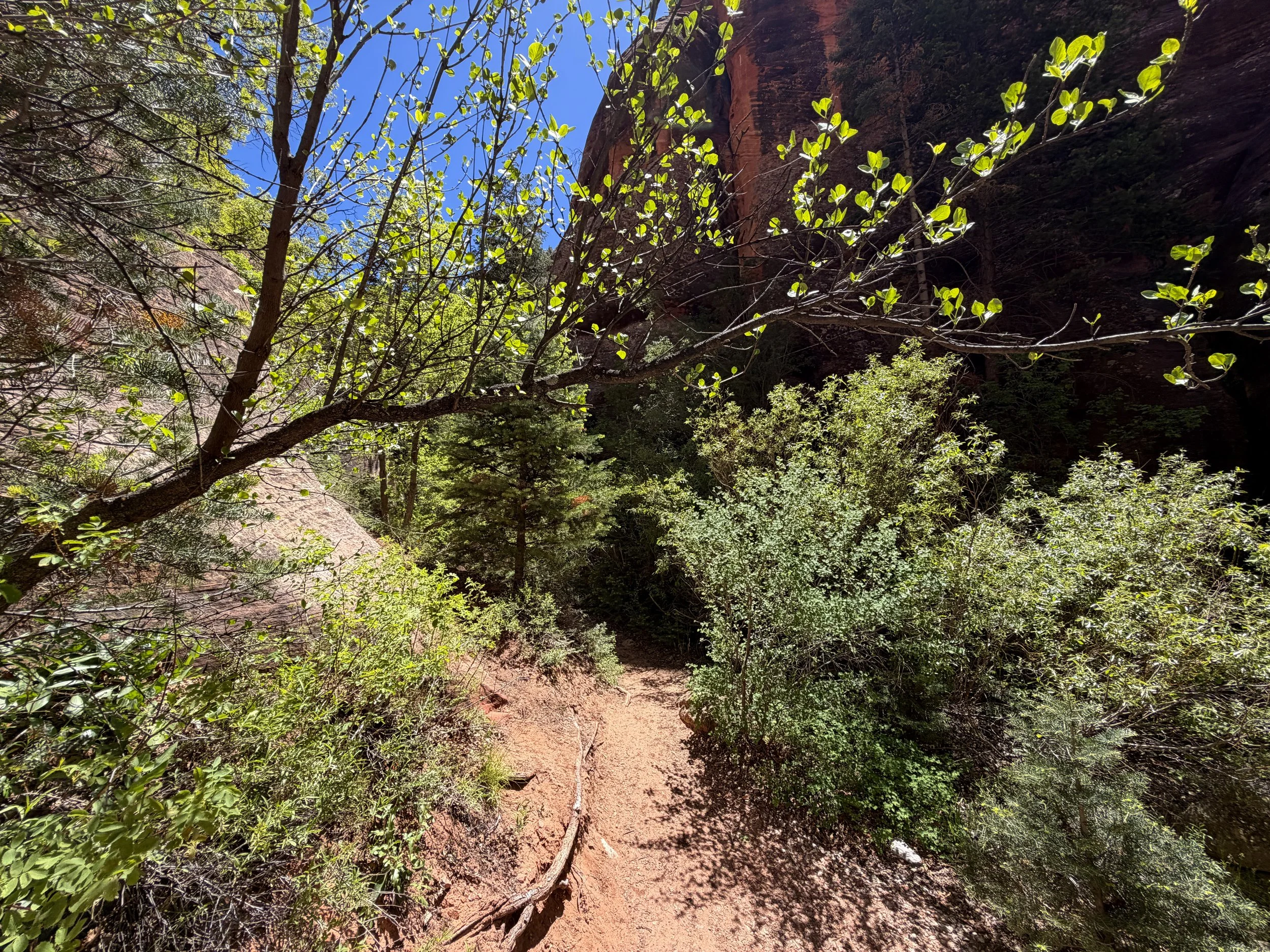 Kanarra Falls Trail Kanarraville Utah