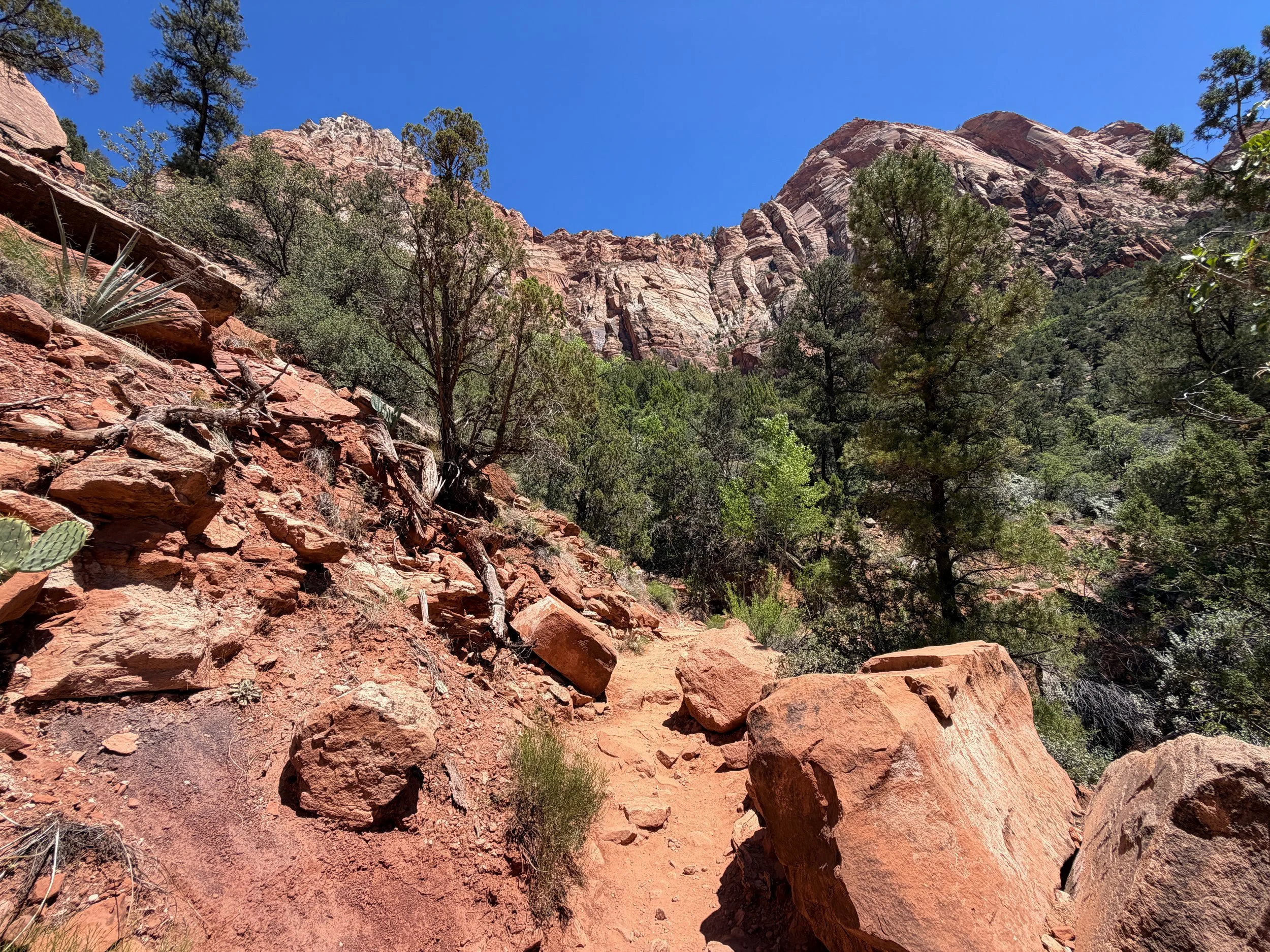 Watchman Trail Zion National Park Utah