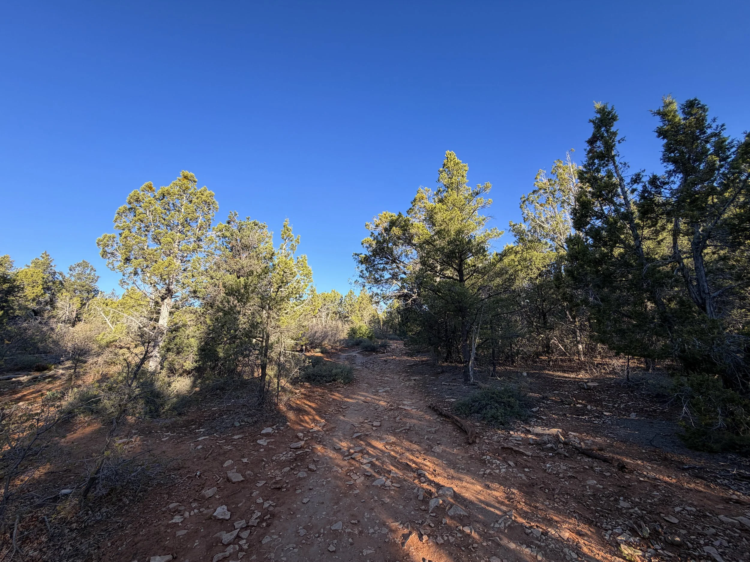 East Mesa Trail Zion National Park Utah