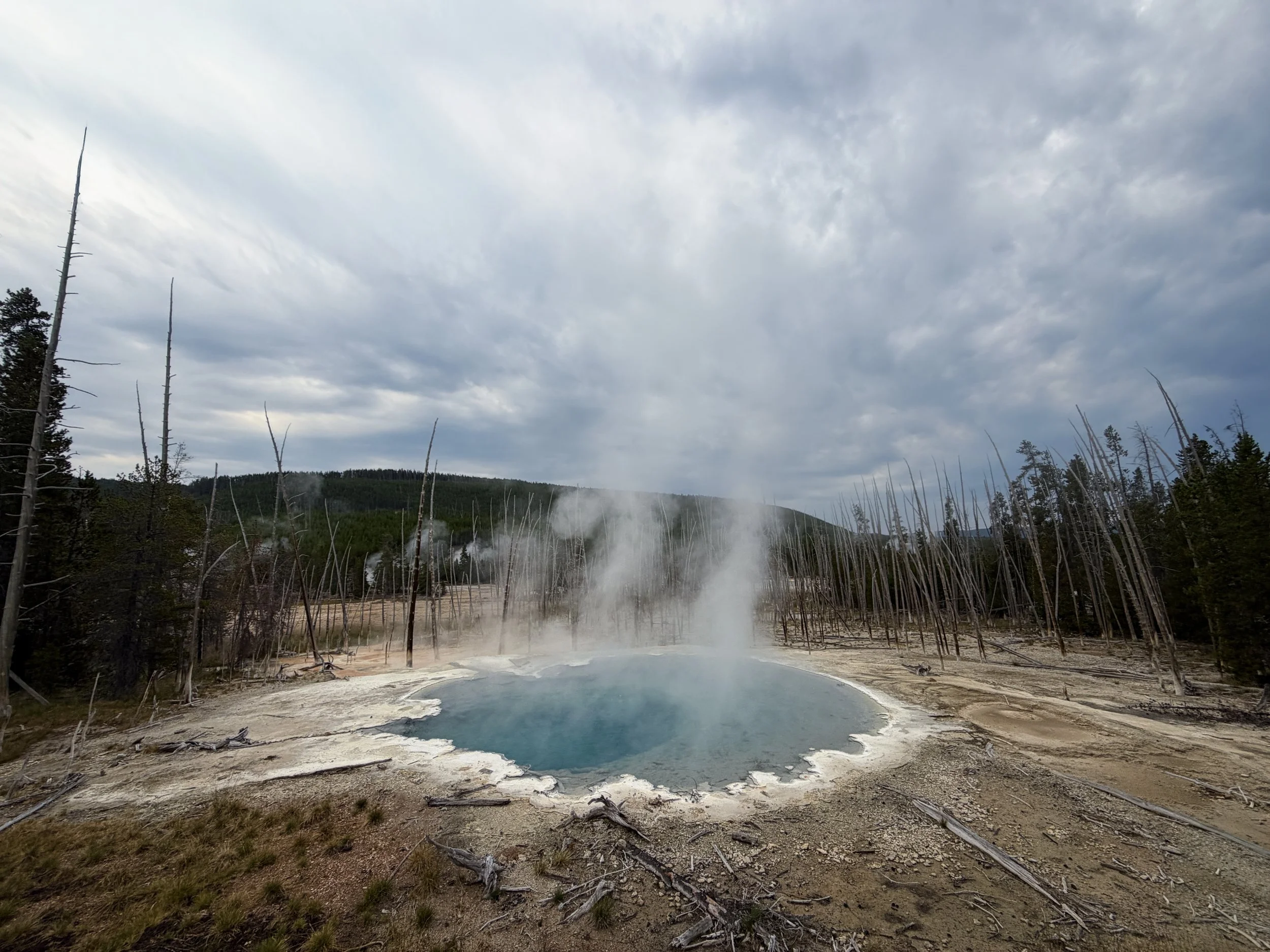 Cistern Spring Back Basin Yellowstone National Park Wyoming
