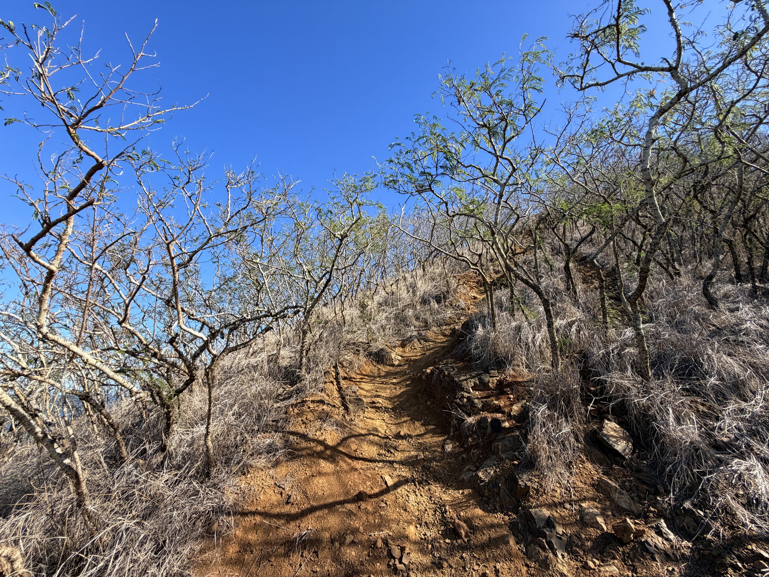 Back Lanikai Pillbox Trail Oahu Hawaii