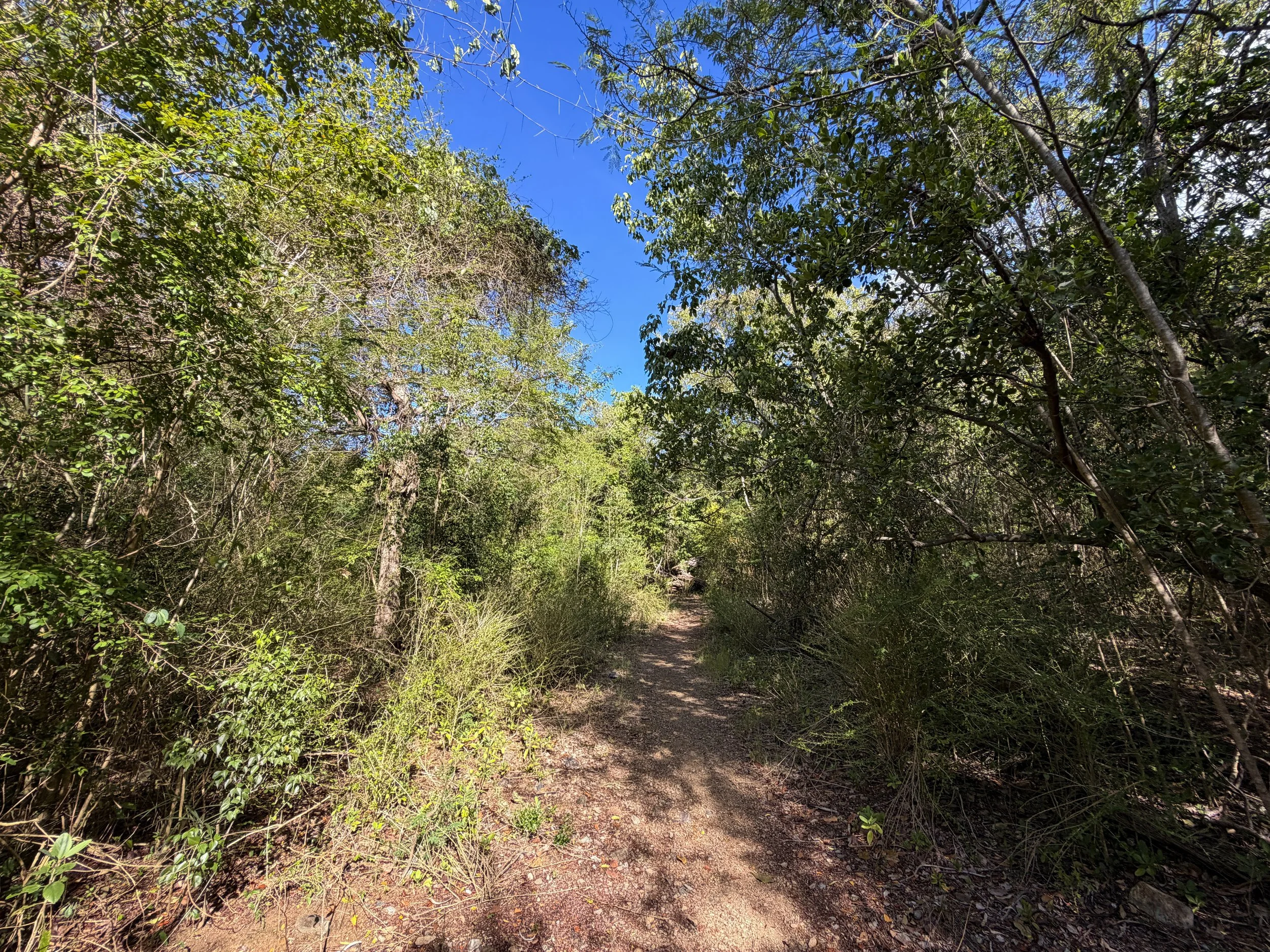 Lameshur Bay Trail Virgin Islands National Park