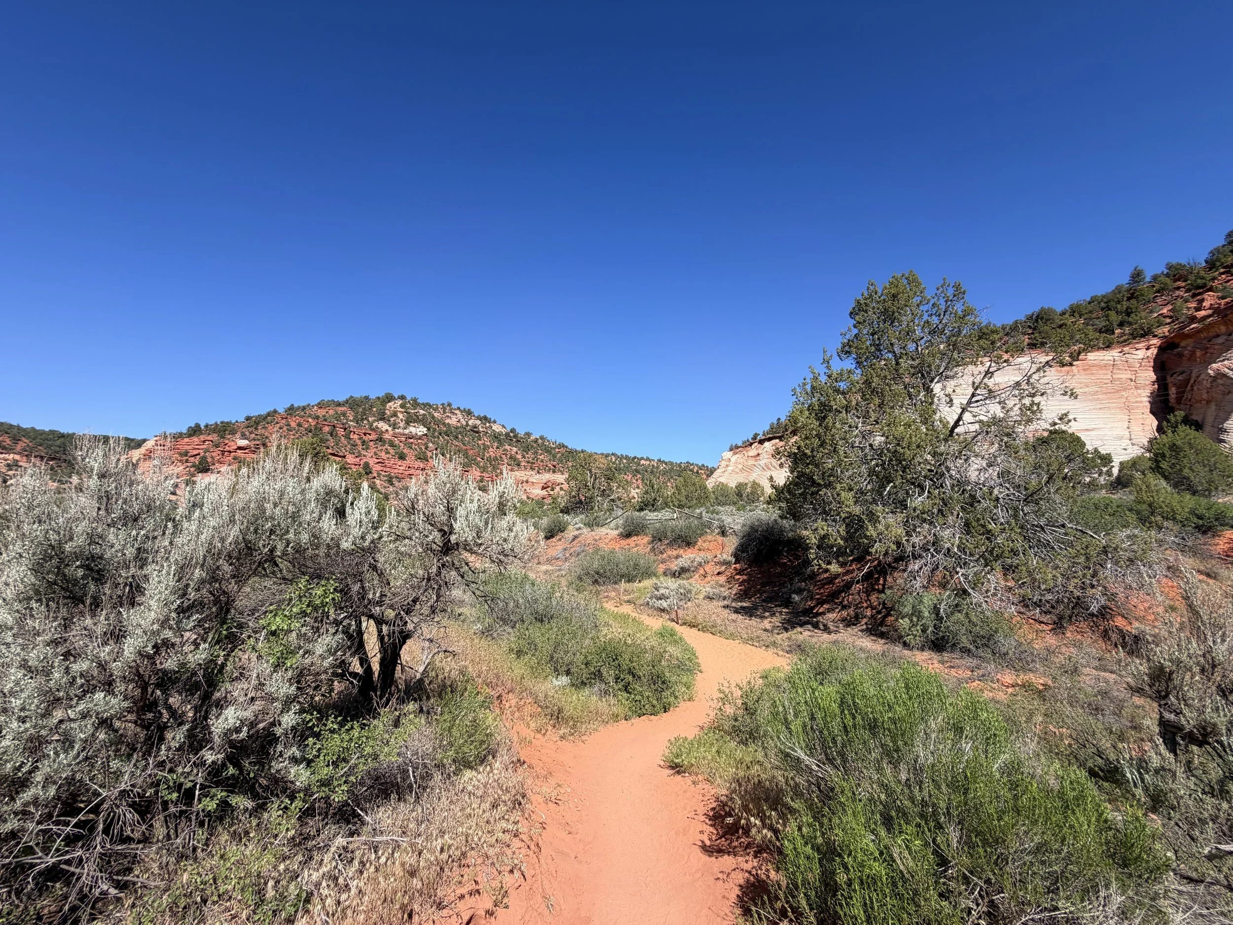 Moqui Sand Caves Trail Kanab Utah
