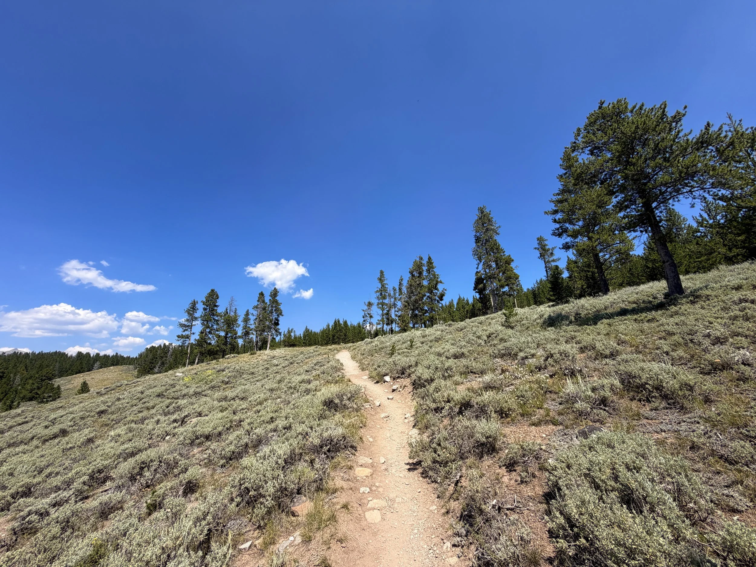 Bunsen Peak Trail Yellowstone National Park Wyoming