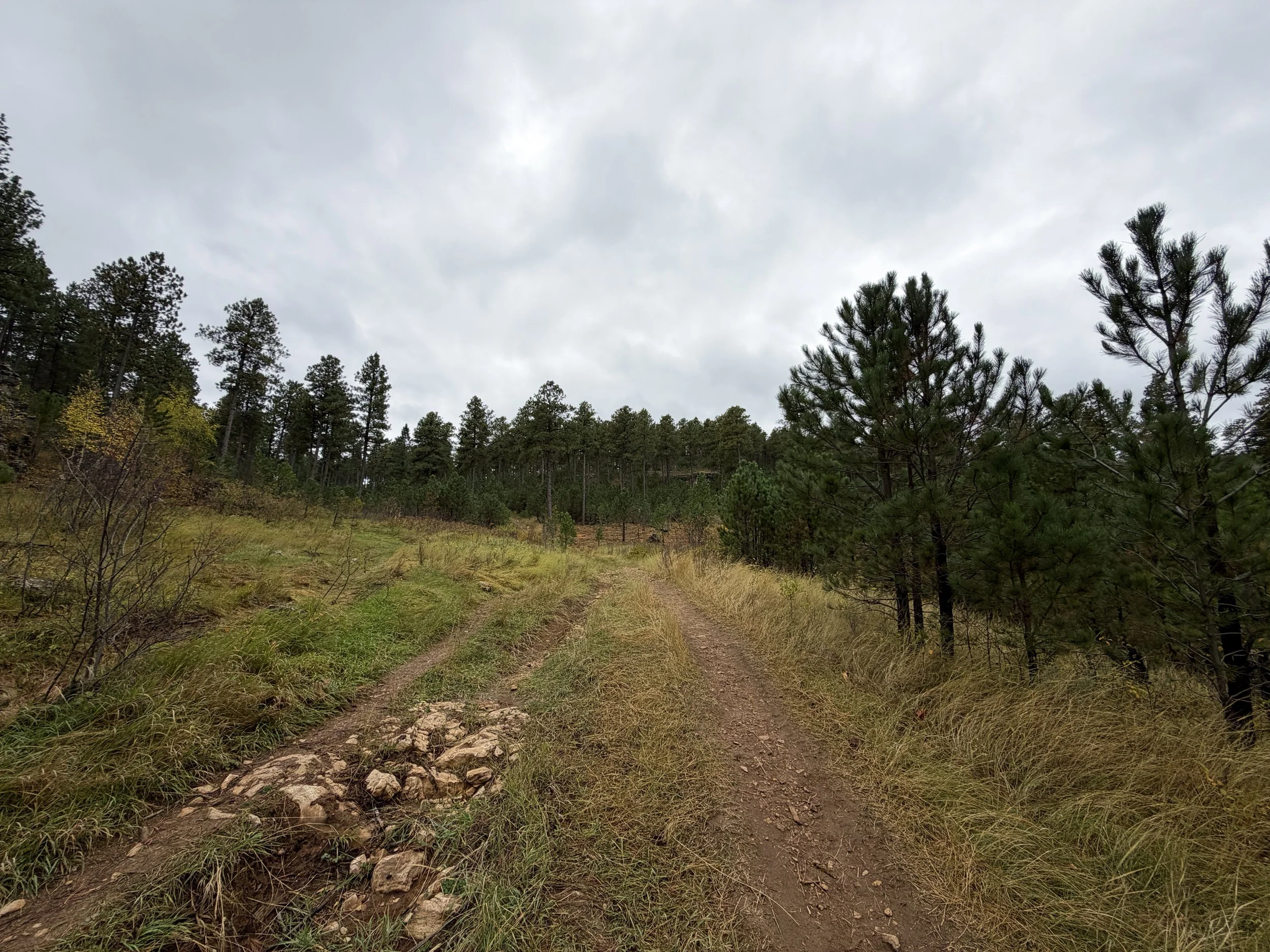 Buzzards Roost Trail Black Hills South Dakota