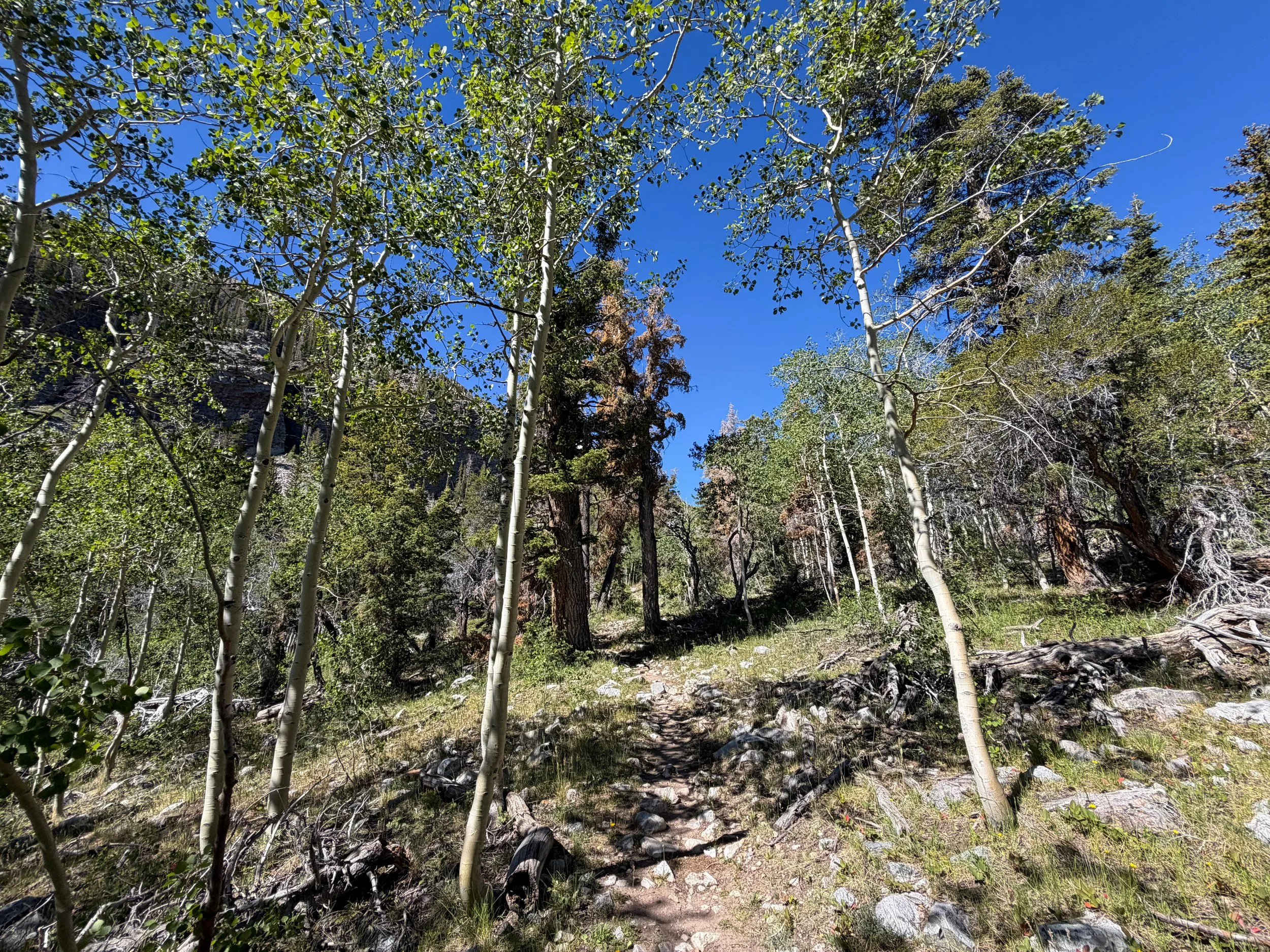 Baker Lake Hike Great Basin National Park Nevada