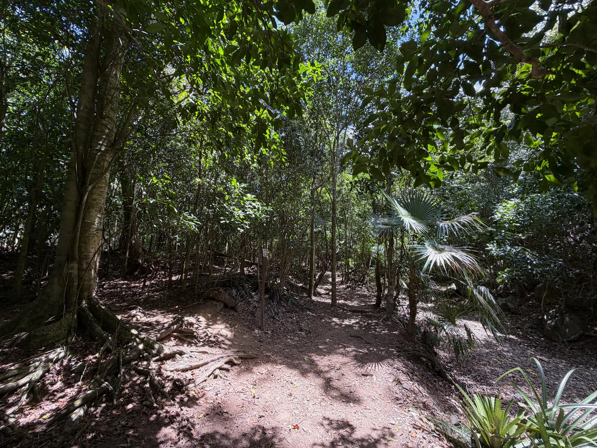 Lameshur Bay Trail to Petroglyphs Trail Virgin Islands National Park