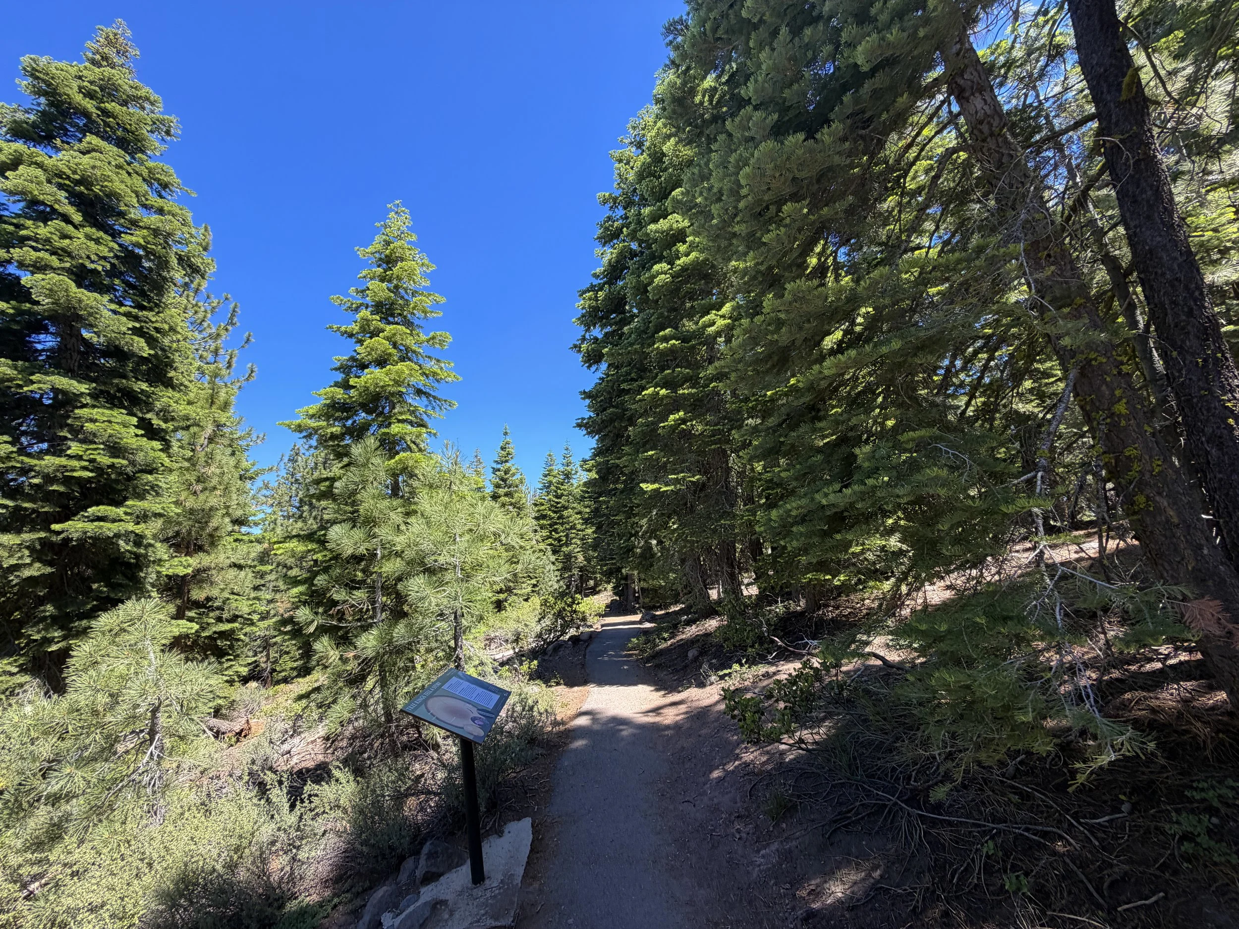 Stateline Fire Lookout Trail Lake Tahoe California