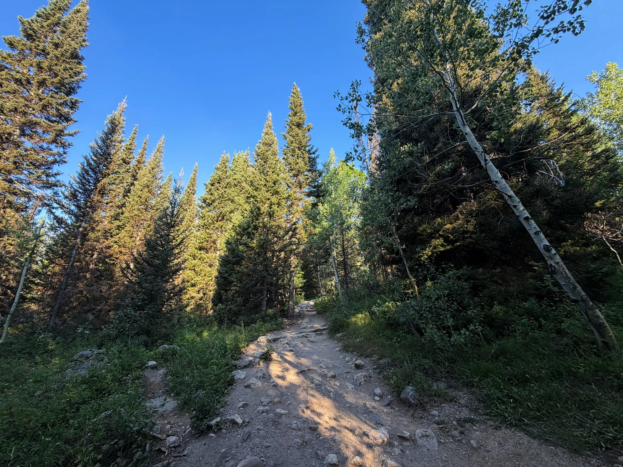 Hidden Falls via Jenny Lake Trail Grand Teton National Park Wyoming