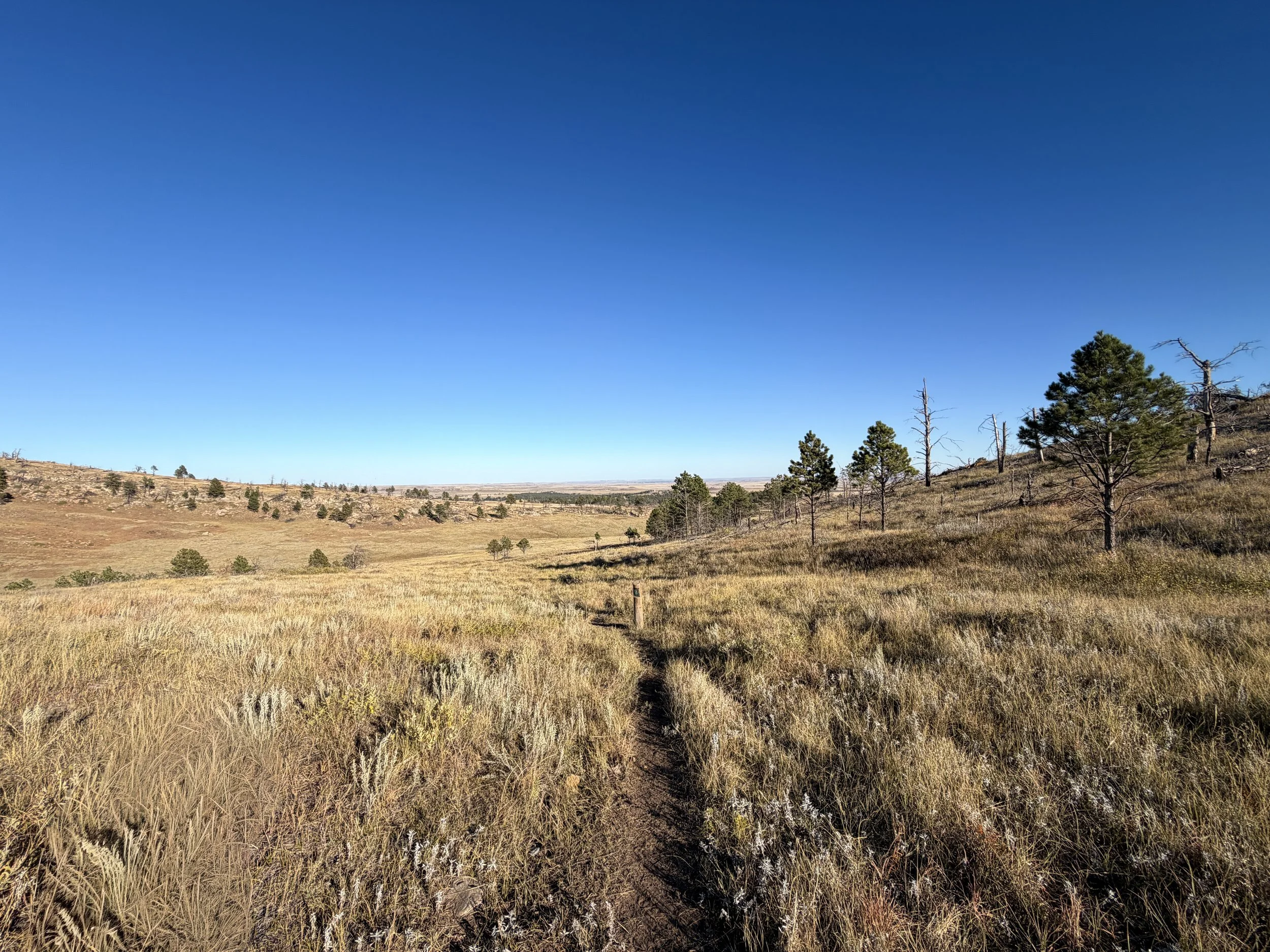 Boland Ridge Trail Wind Cave National Park South Dakota