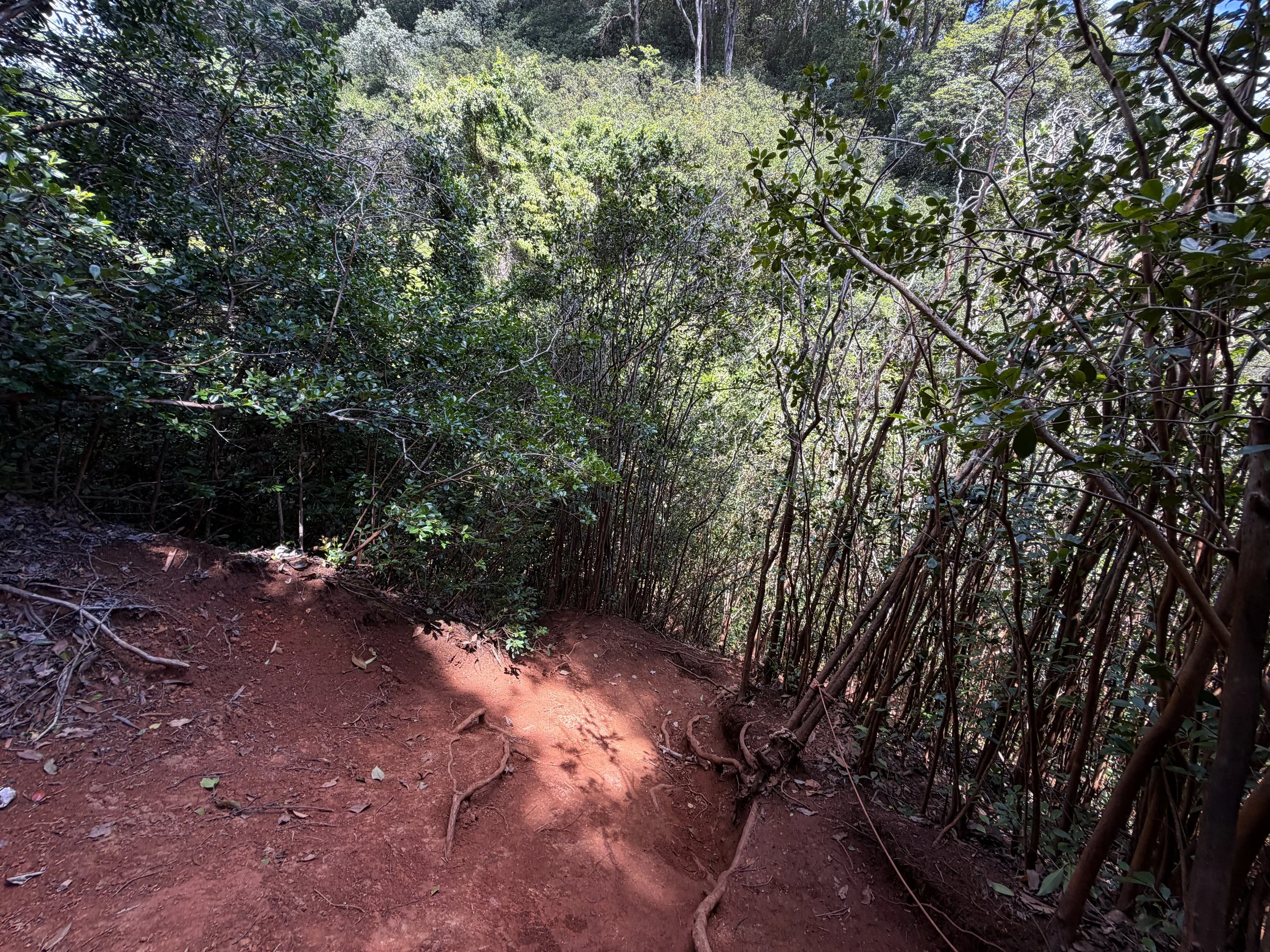 Waimano Falls Hike Oahu Hawaii