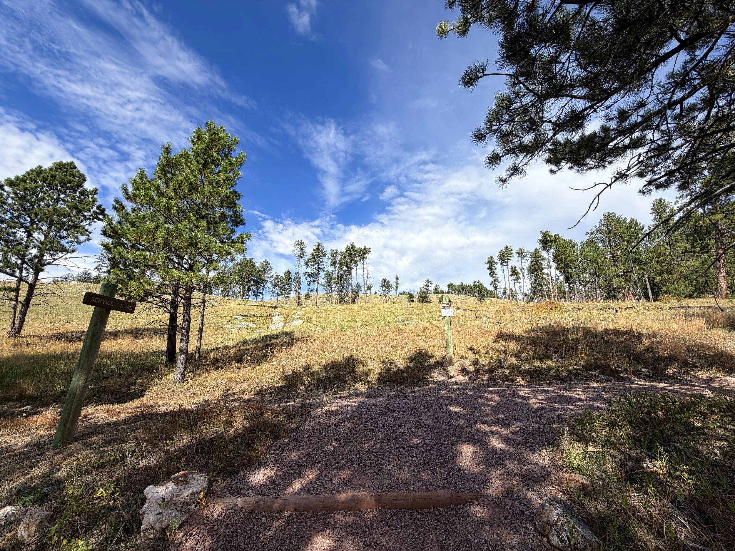 Roof Loop Hike Jewel Cave National Monument Black Hills South Dakota
