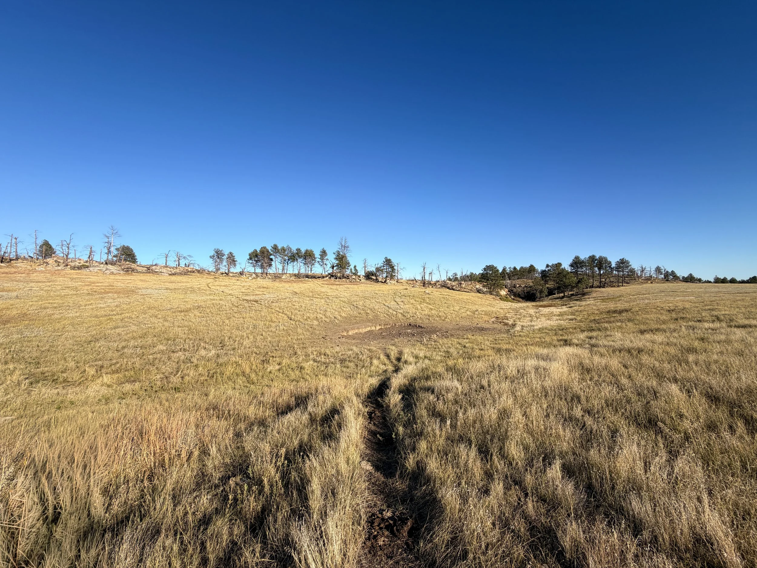 Boland Ridge Trail Wind Cave National Park South Dakota