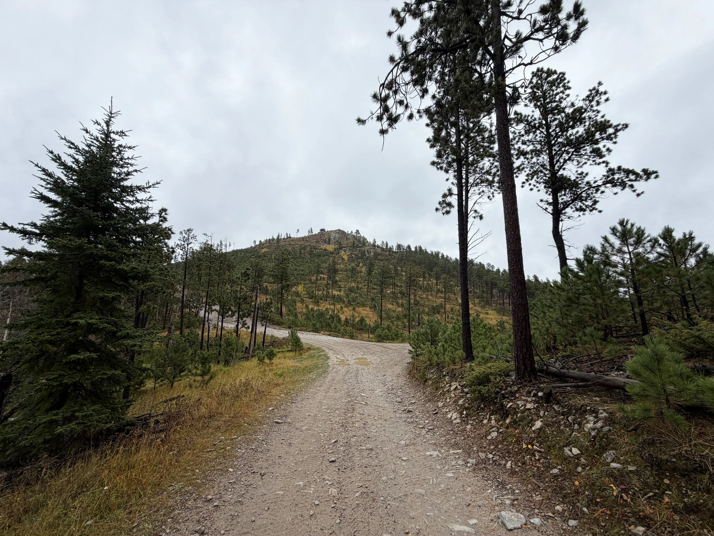 Custer Peak Hike Black Hills South Dakota