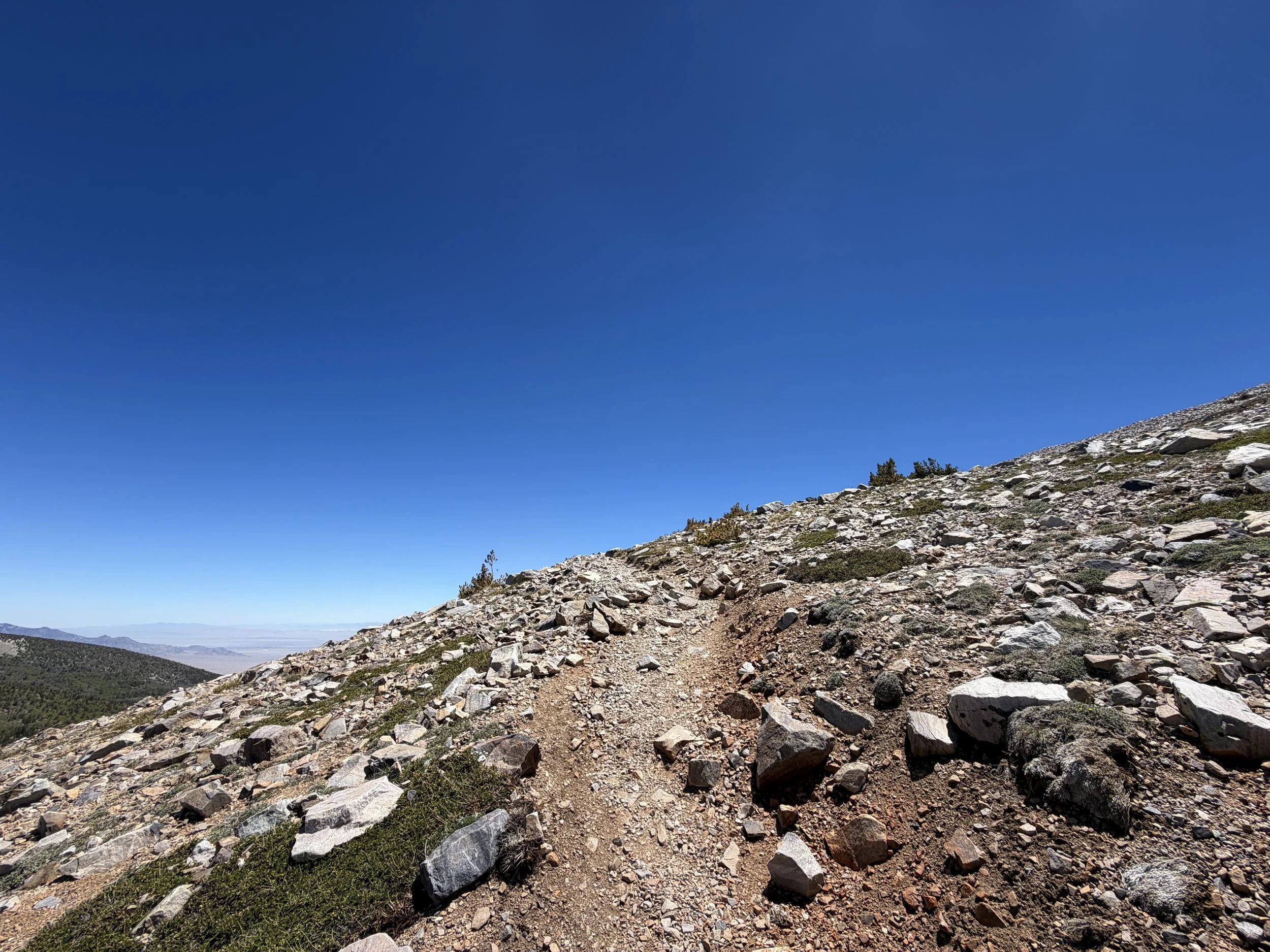 Wheeler Peak Summit Trail Great Basin National Park Nevada