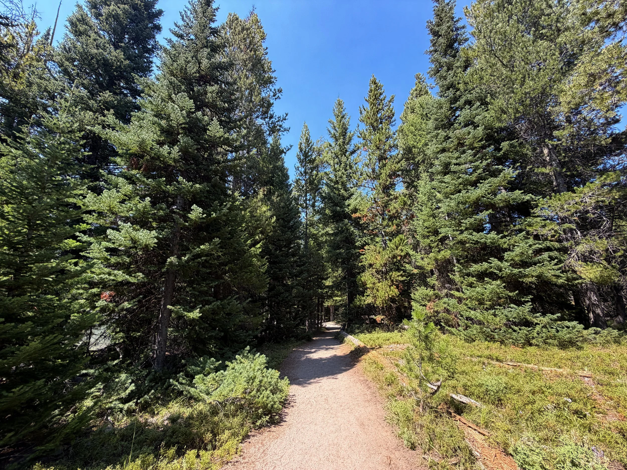 String Lake Loop Trail Grand Teton National Park Wyoming