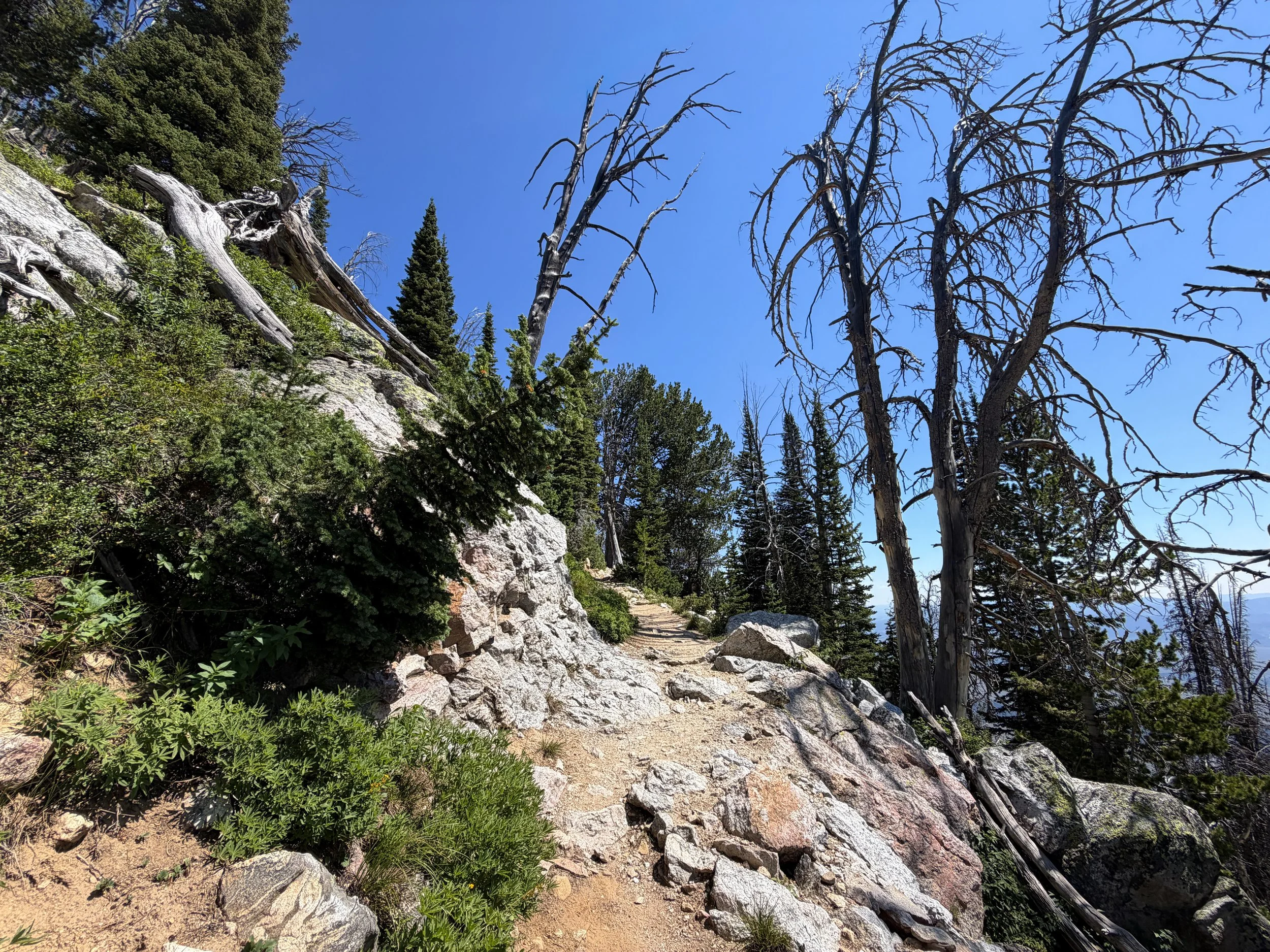 Surprise and Amphitheater Lakes Trail Grand Teton National Park Wyoming