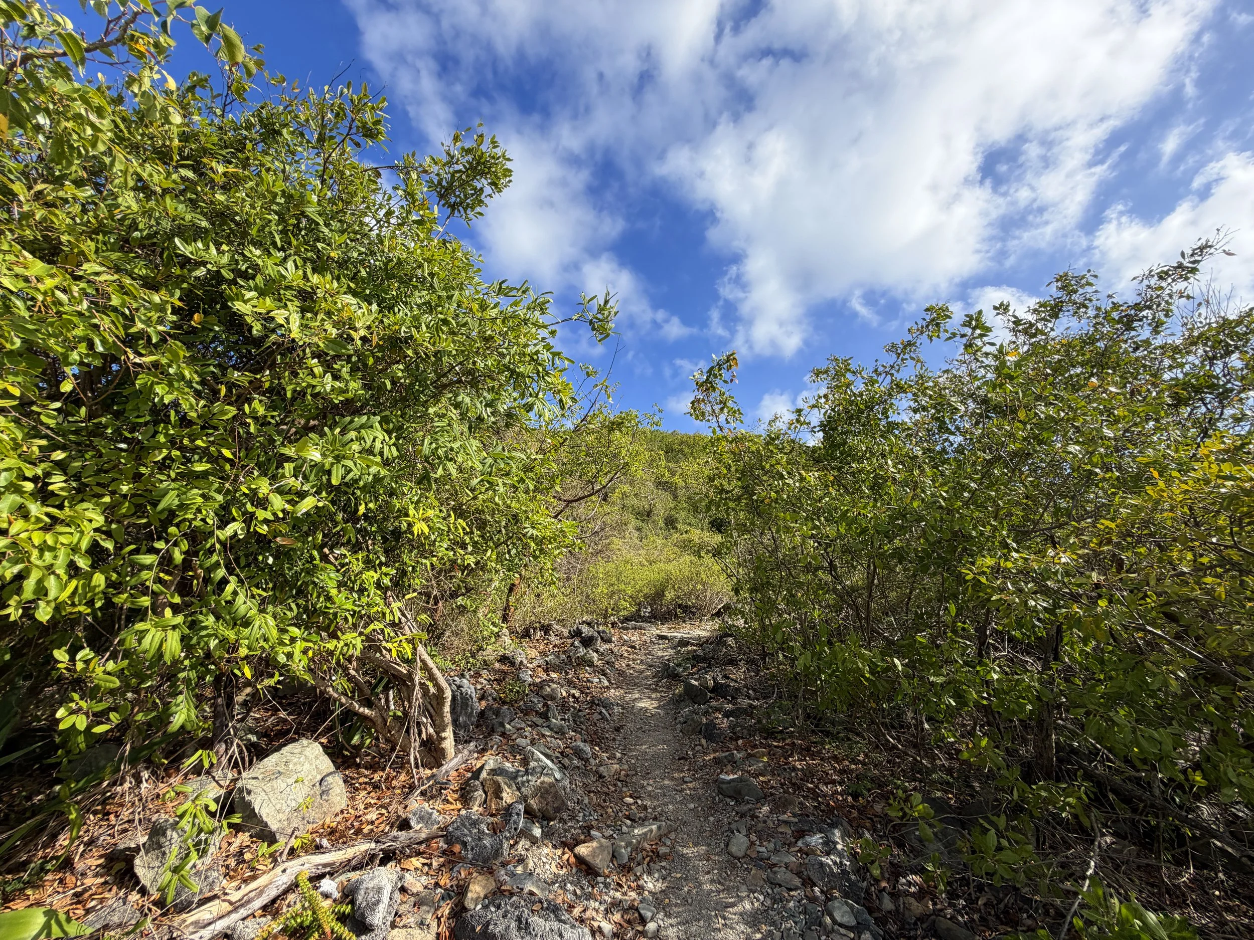 Ram Head Trail Virgin Islands National Park