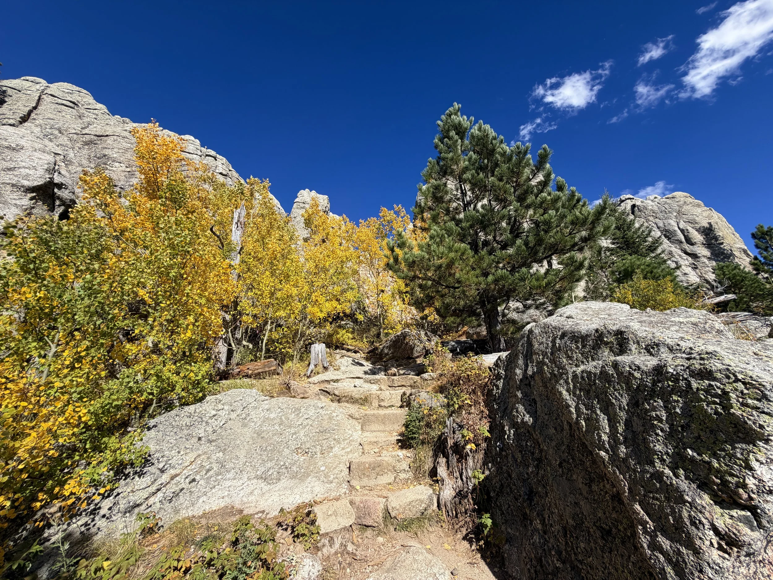 Black Elk Peak Trail Black Hills South Dakota