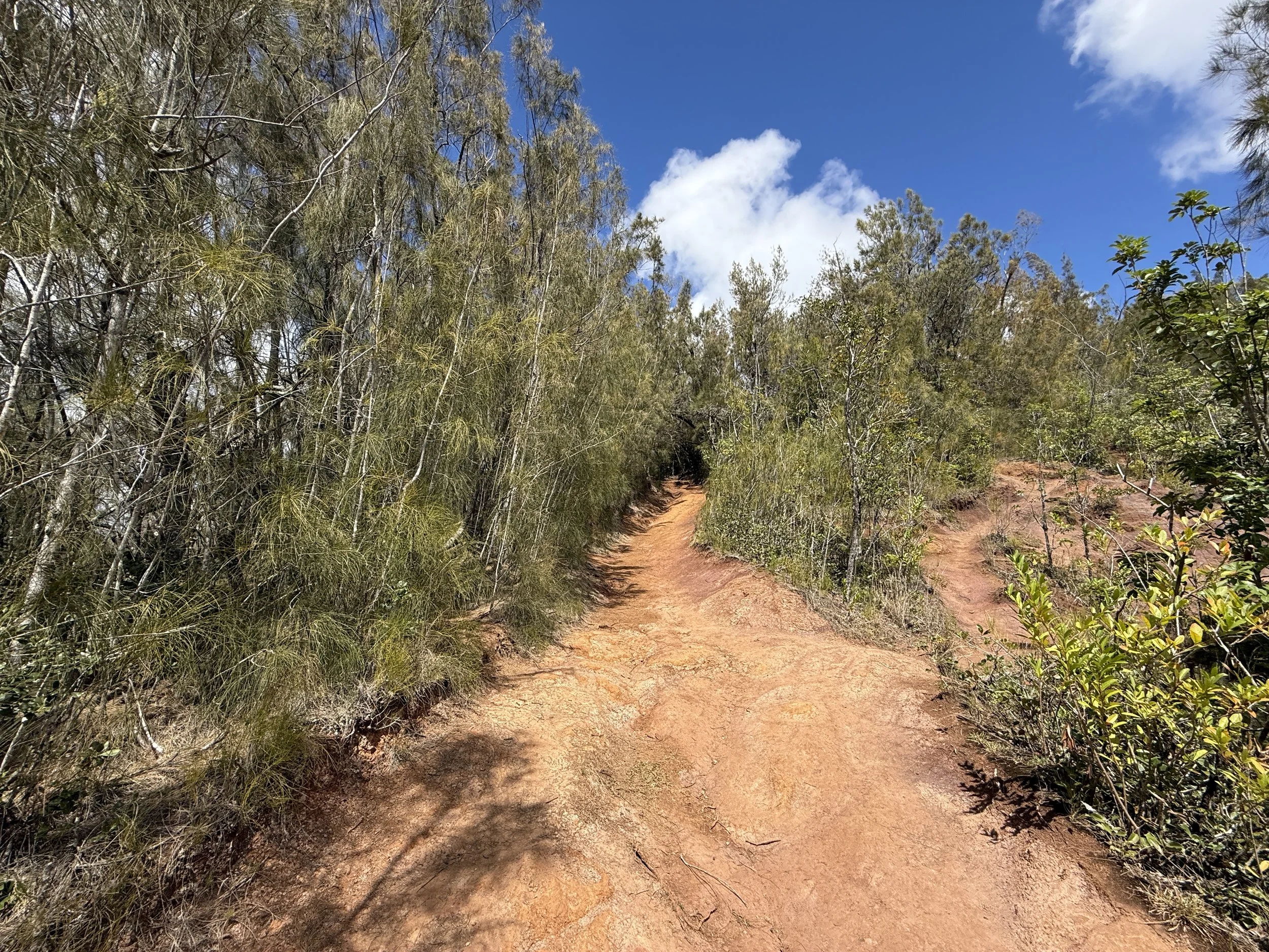 Hiking the Waʻahila Ridge Trail to Mt. Olympus (ʻAwaʻawaloa) on Oʻahu ...