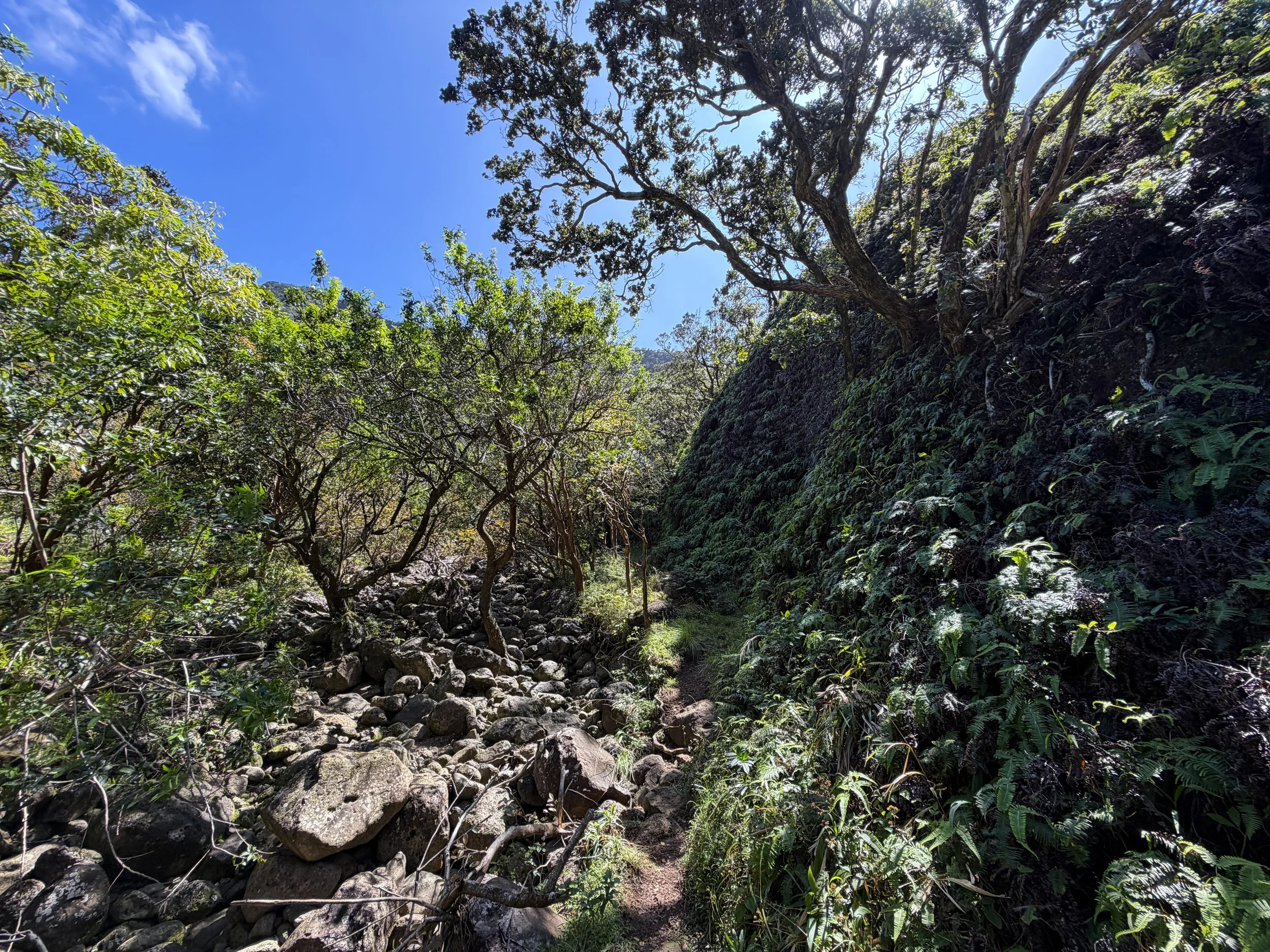 Kulanaahane Trail Oahu Hawaii