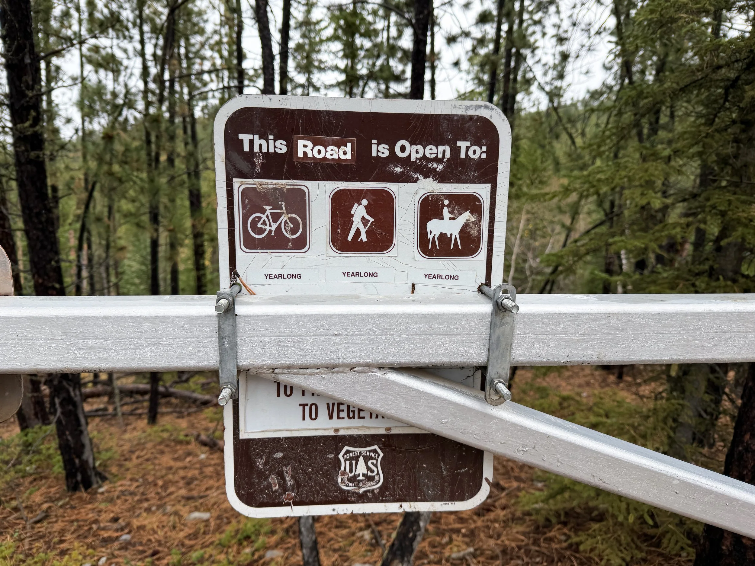 Custer Peak Fire Lookout Trail Black Hills South Dakota
