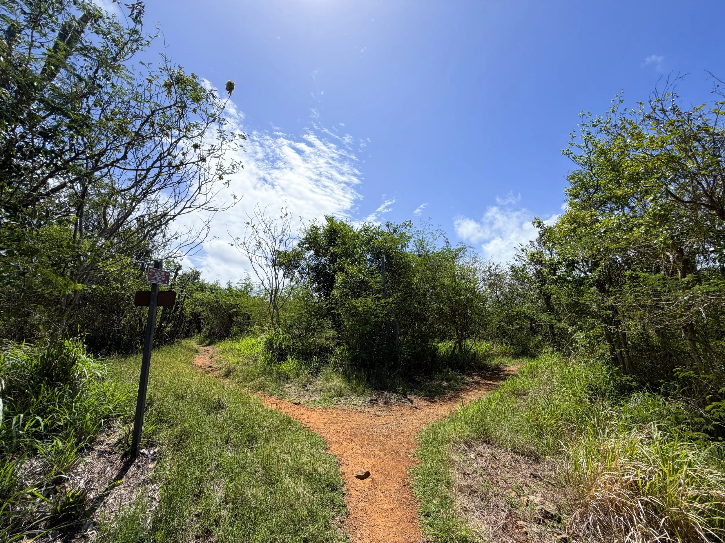 Lind Point Trail Virgin Islands National Park