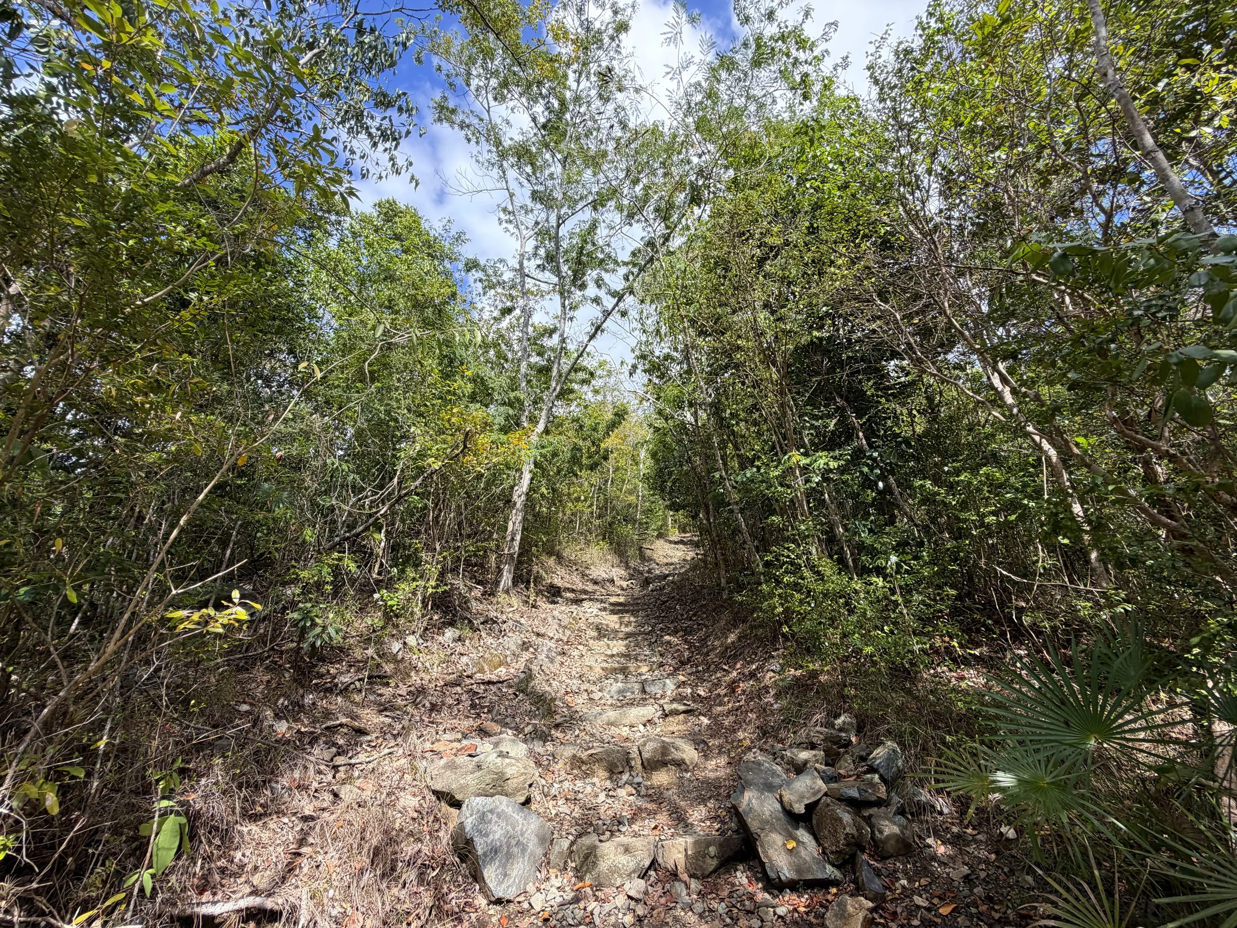 America Hill Trail Virgin Islands National Park