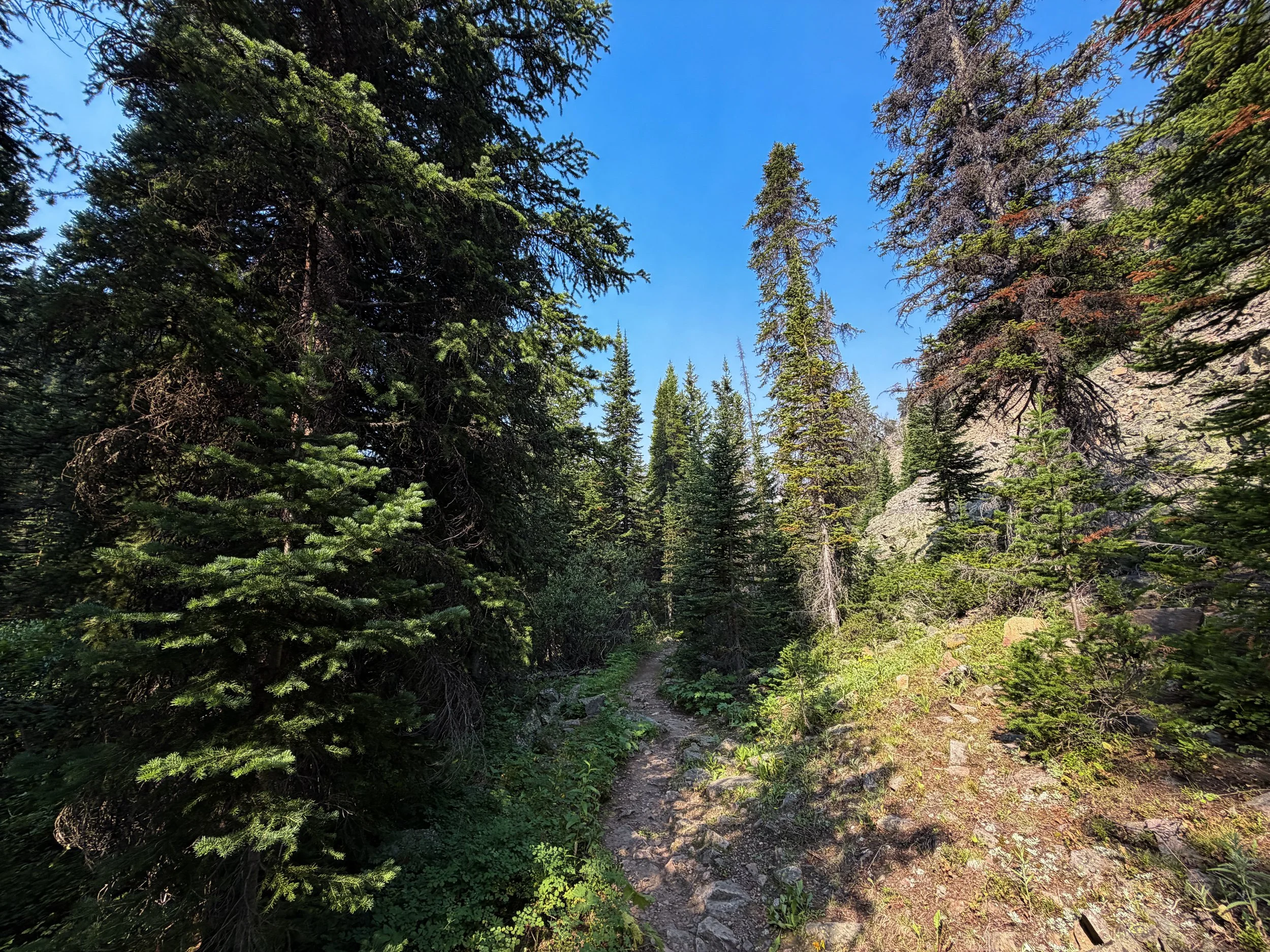 East Rosebud Trail The Beaten Path Beartooth Mountains Montana