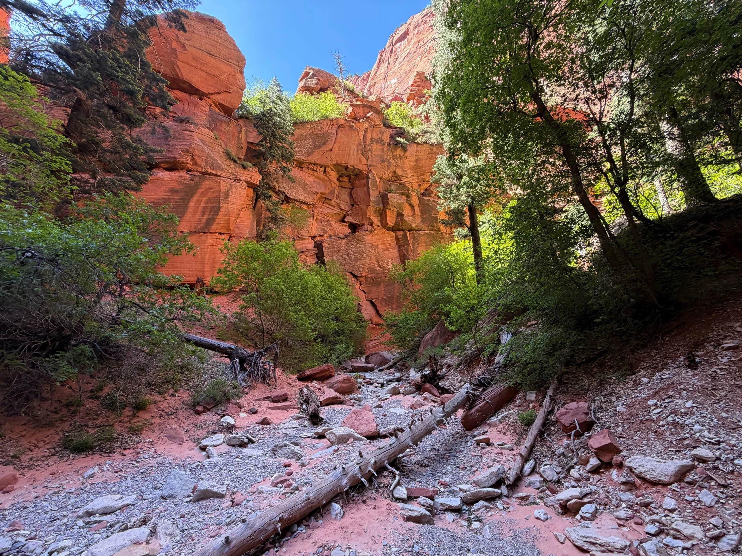 Taylor Creek Trail Zion National Park Utah