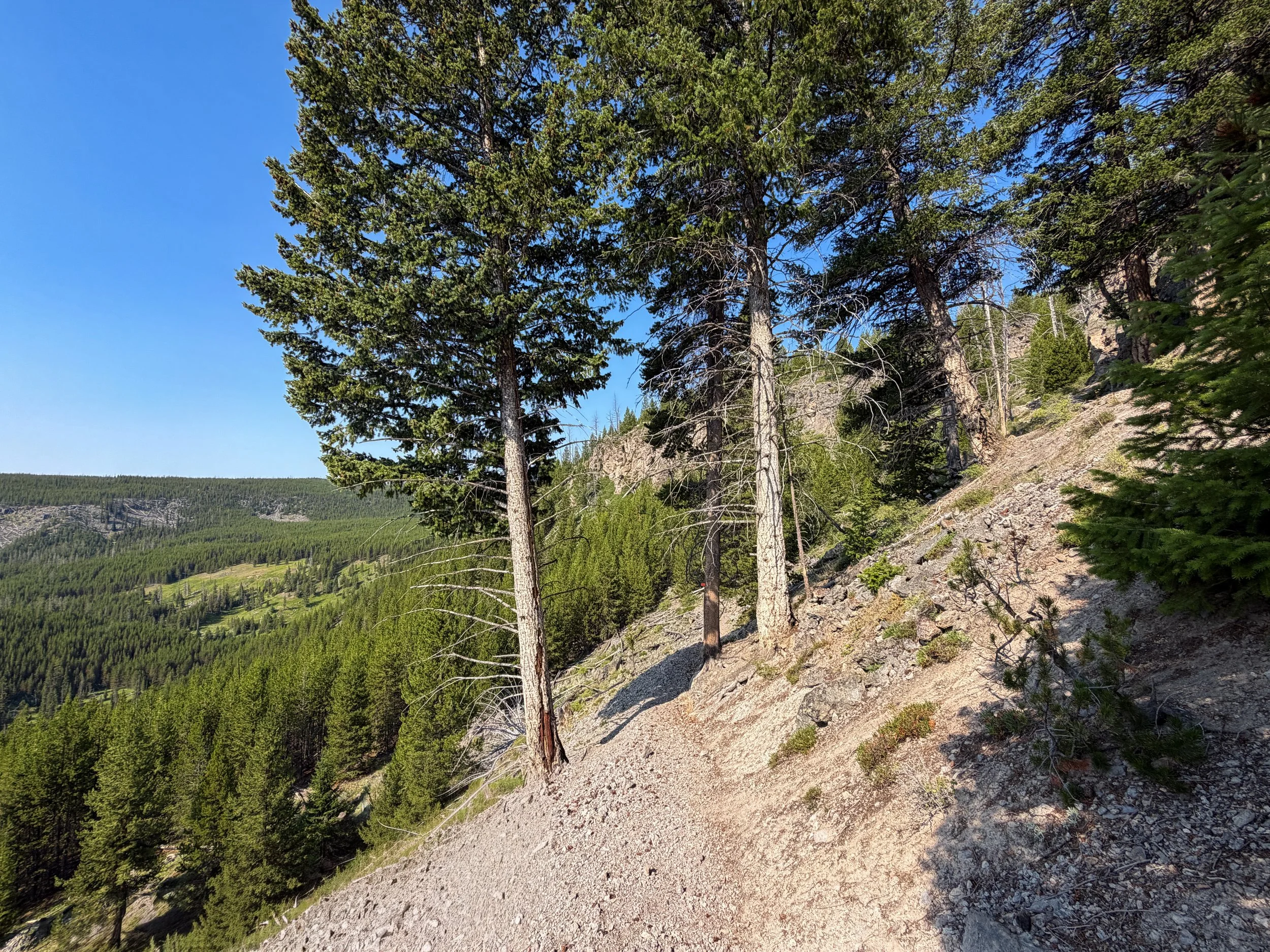 Mystic Falls Loop Trail Yellowstone National Park Wyoming