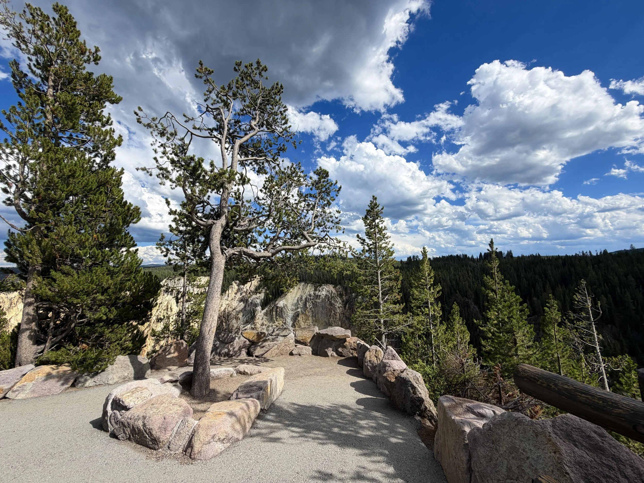 North Rim Hike Yellowstone National Park Wyoming