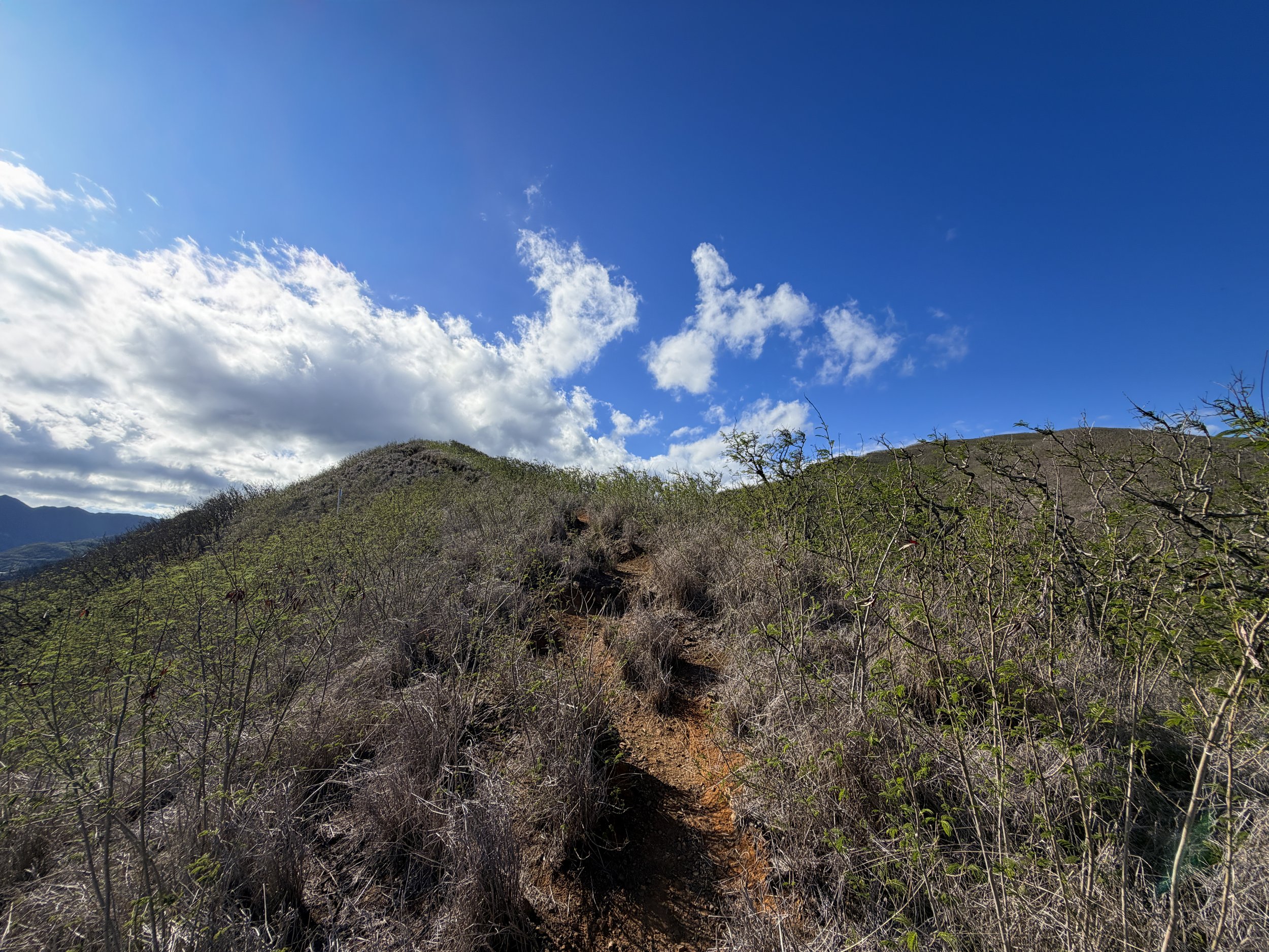 Back Lanikai Pillbox Hike Oahu Hawaii