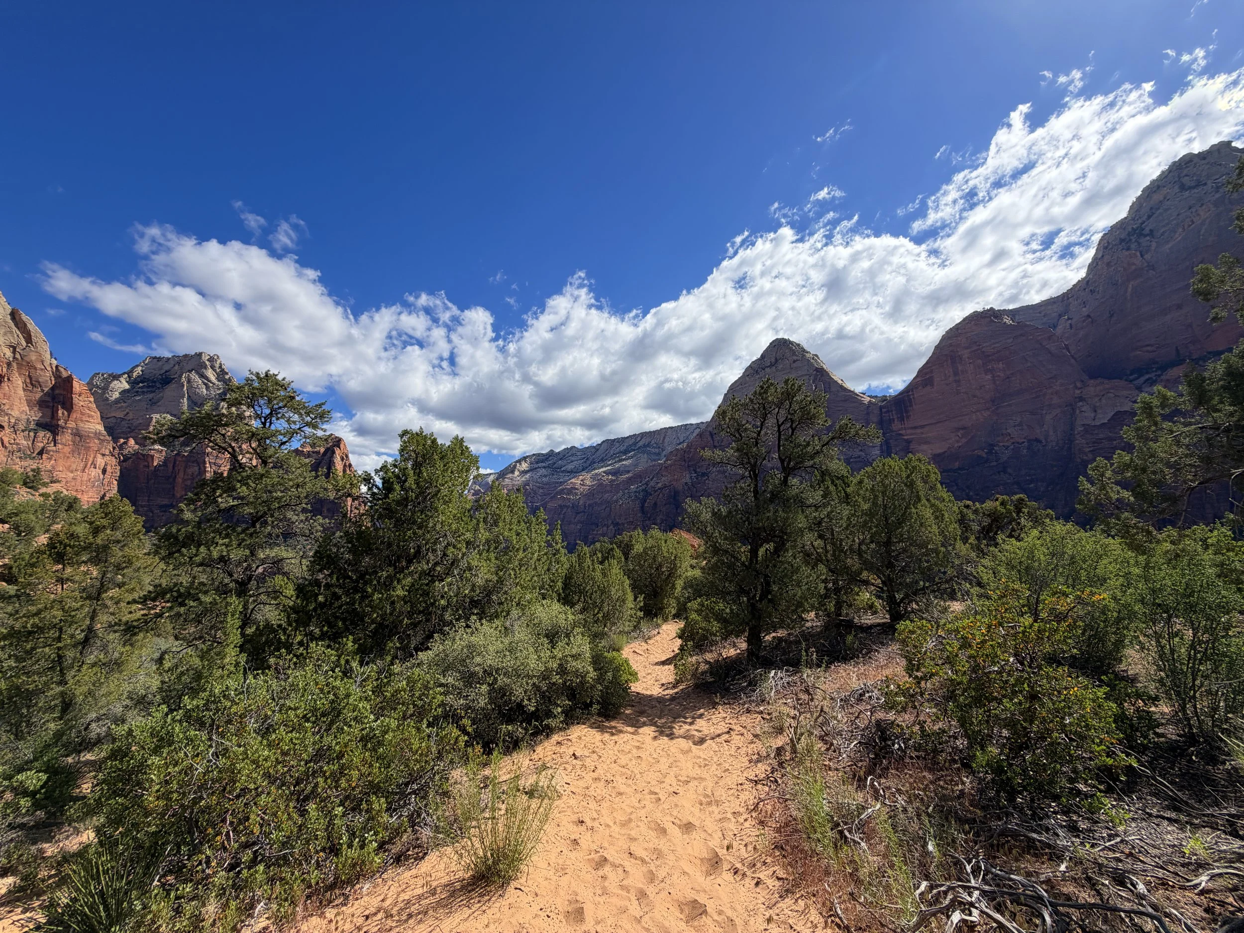 Sand Bench Loop Trail Zion National Park Utah