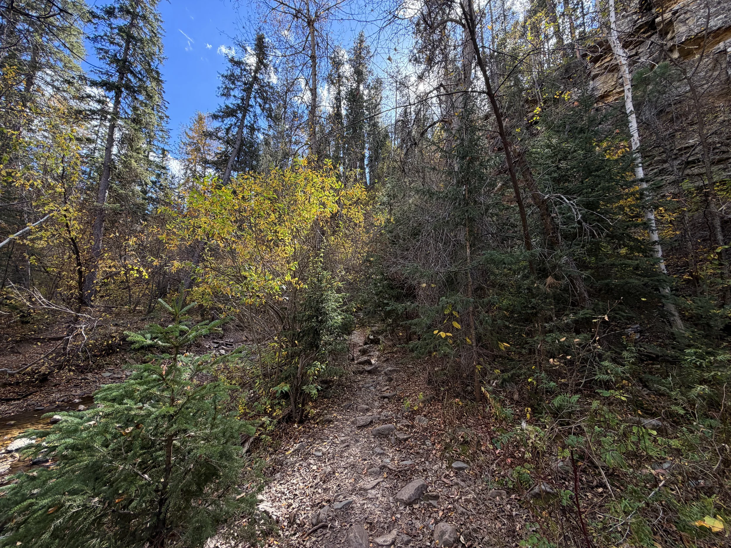 Devils Bathtub Hike Spearfish Canyon Black Hills South Dakota