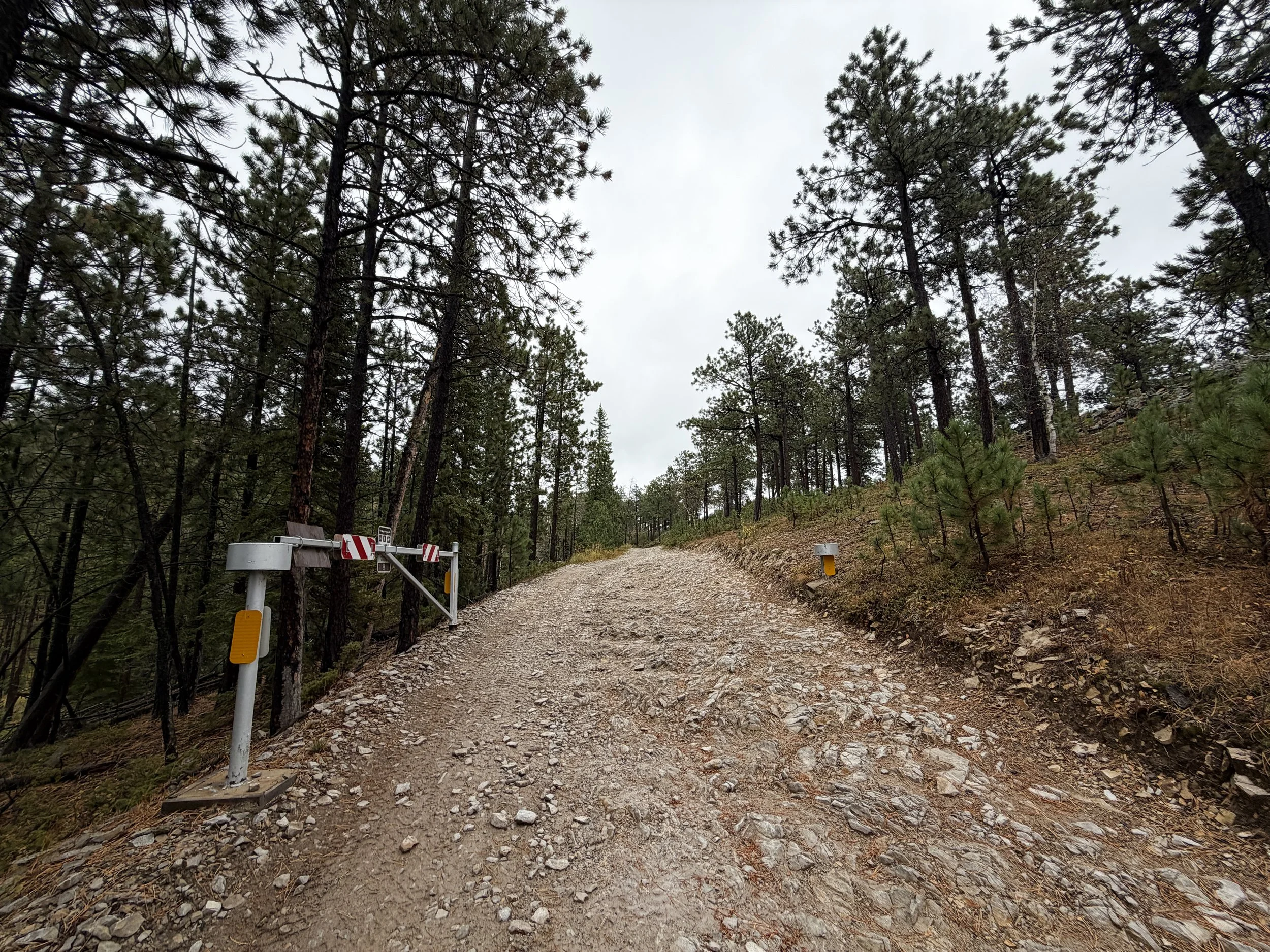 Custer Peak Fire Lookout Trail Black Hills South Dakota