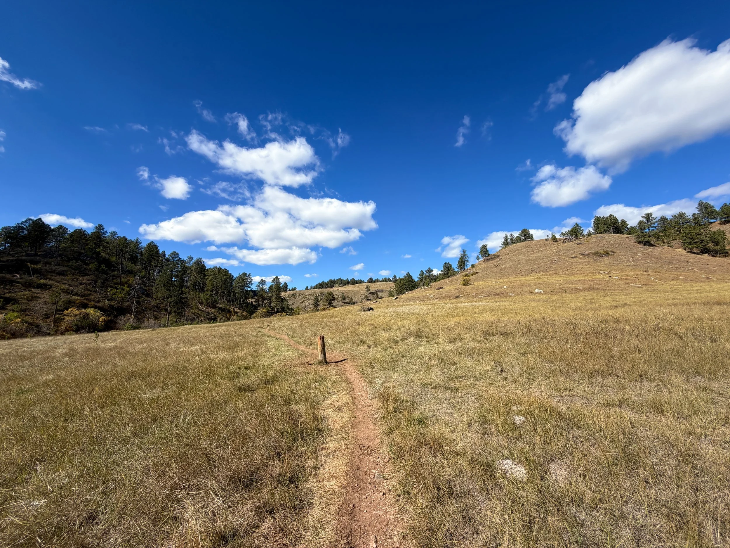 Lookout Point Loop Trail Wind Cave National Park South Dakota