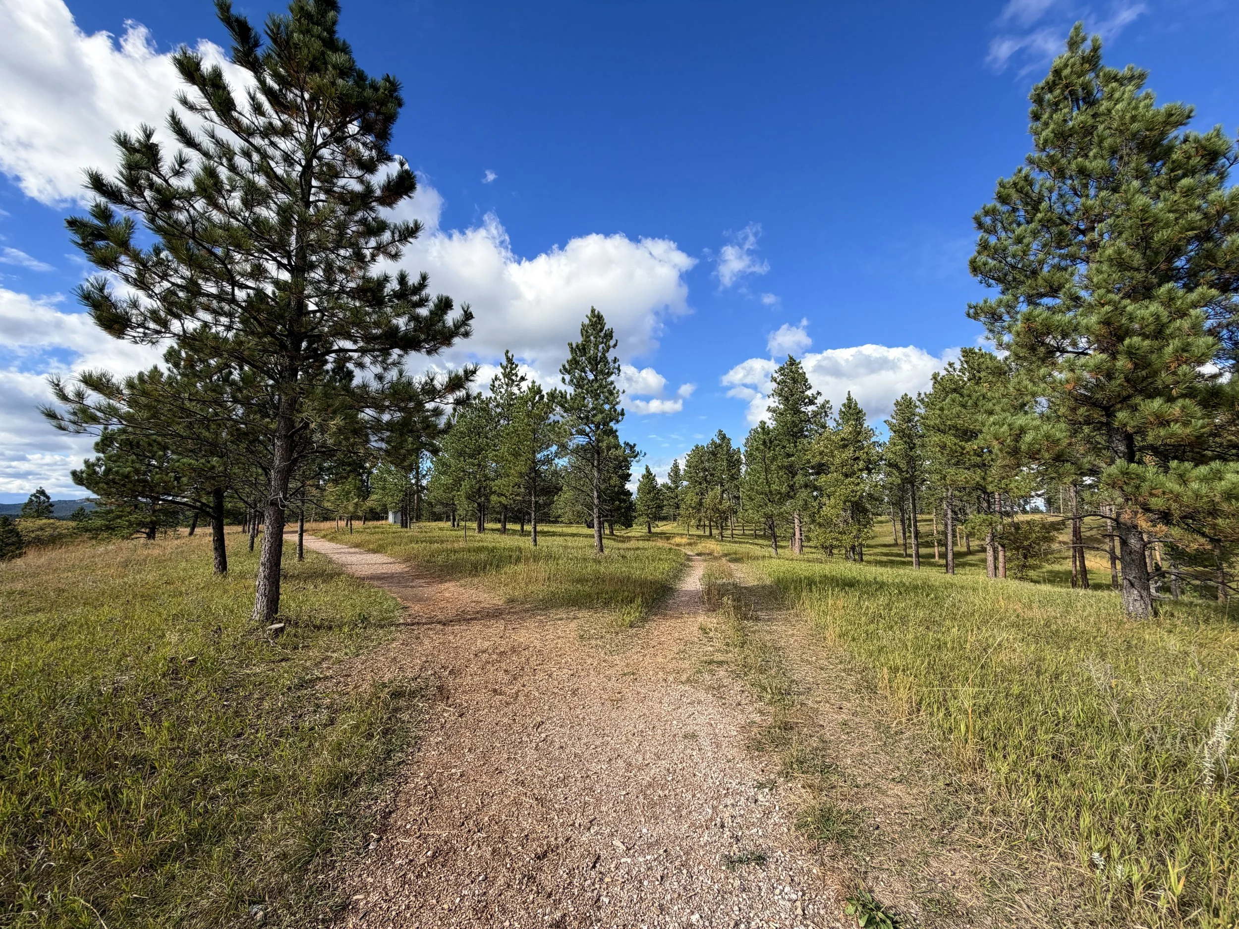 Stratosphere Bowl Rim Trail Black Hills South Dakota