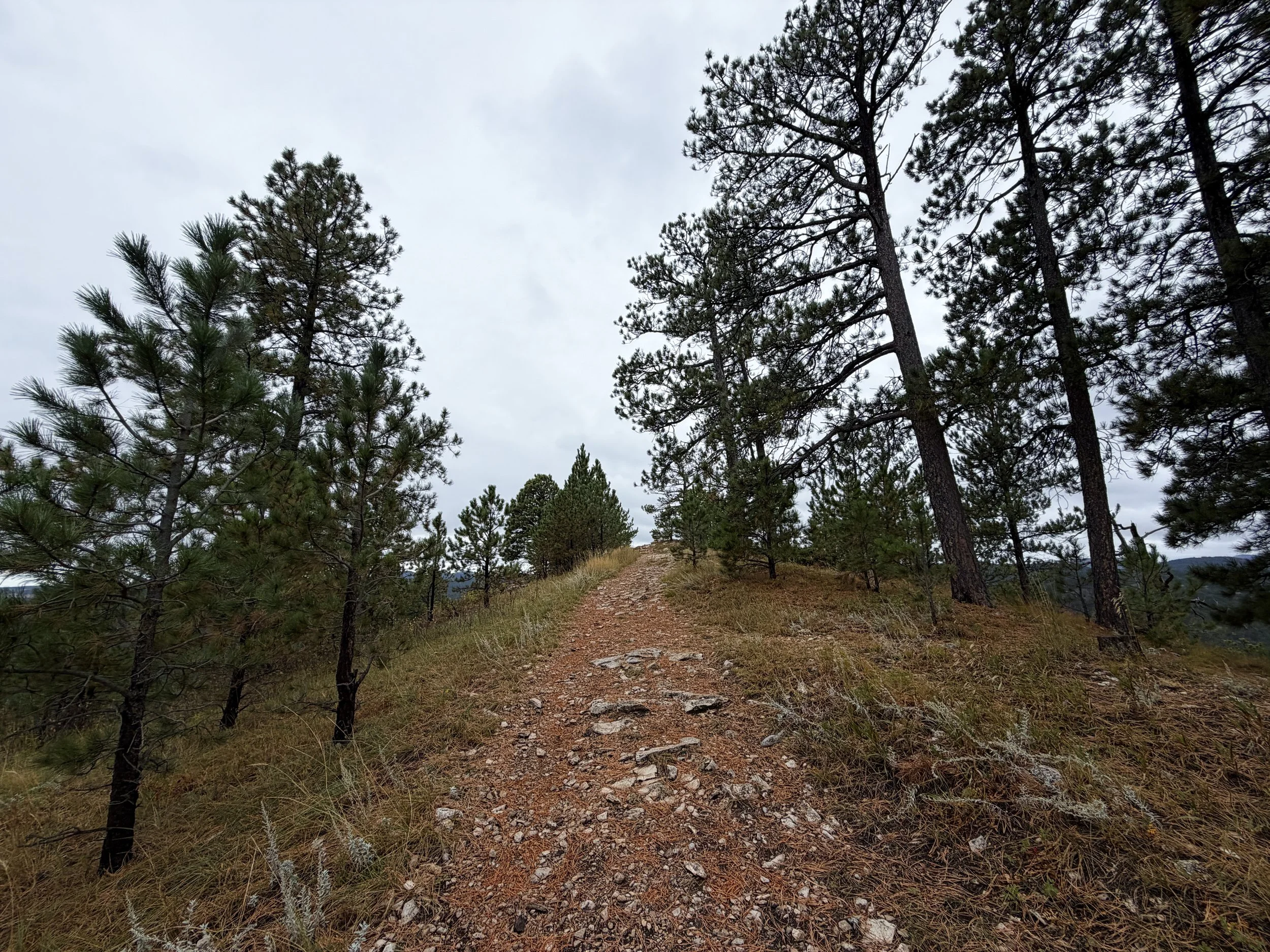 Buzzards Roost Trail Black Hills Rapid City South Dakota